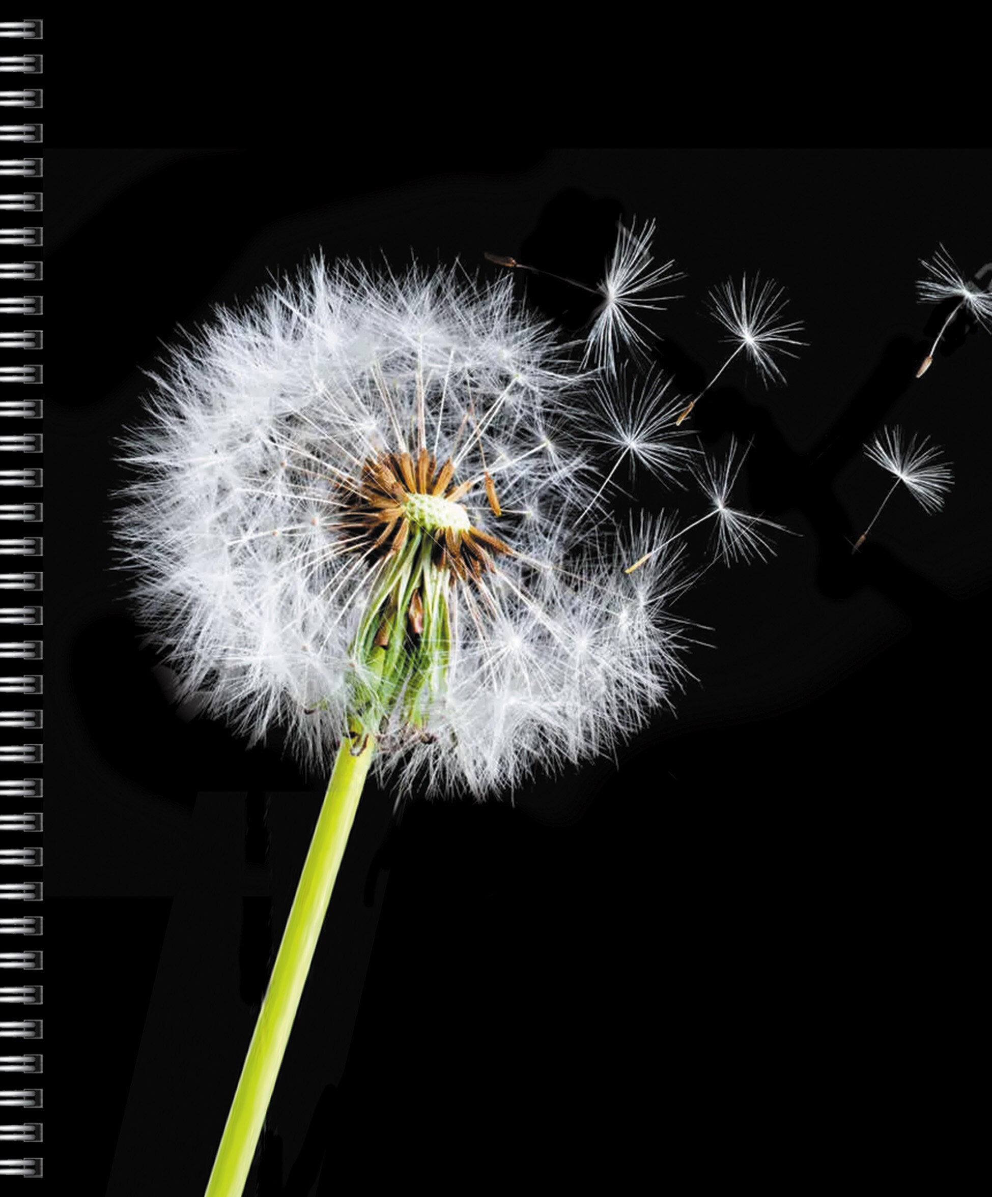 На контрасте – ТС968552 На контрасте – ТС968552