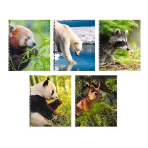 Главная страница