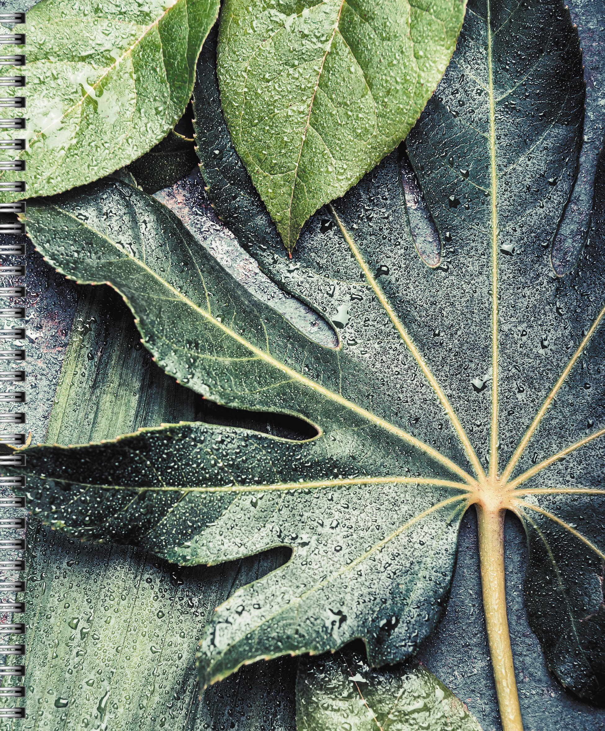 Зеленый микс – ТС968569 Зеленый микс – ТС968569