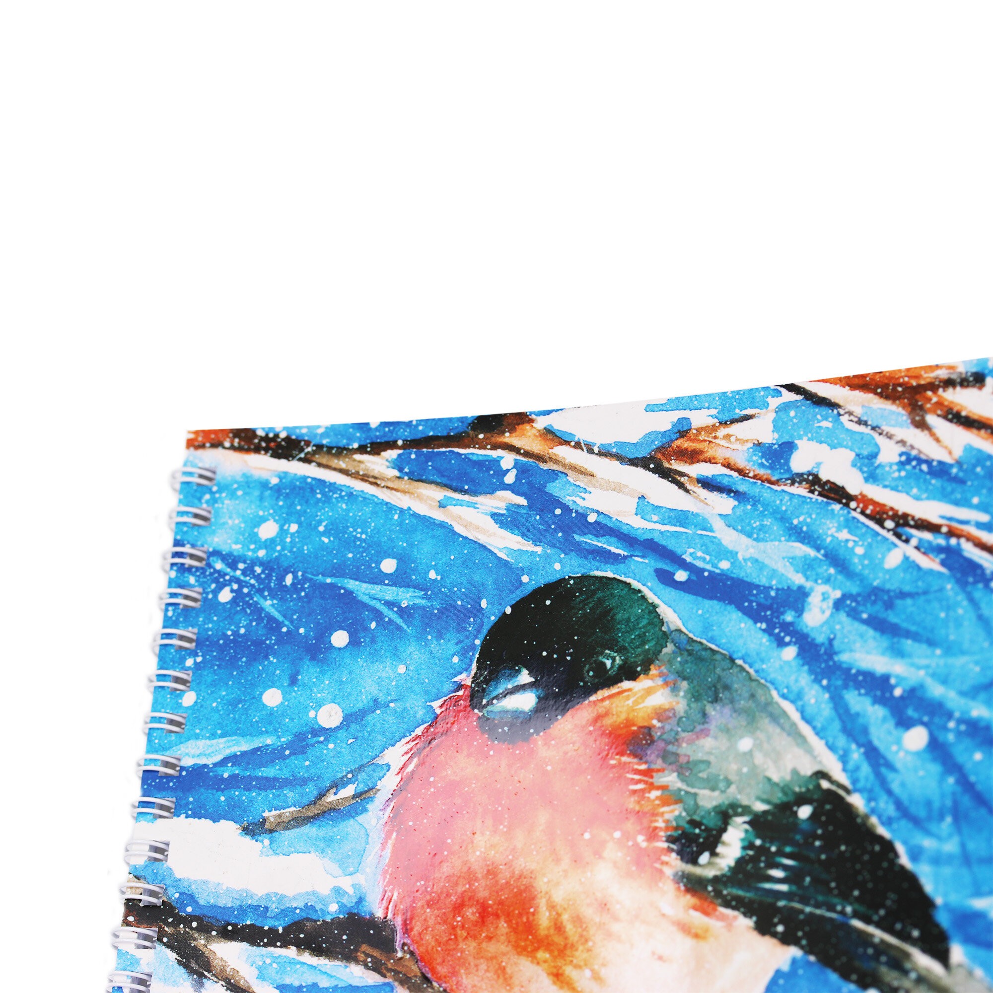 Снегирь – АСЛ202480 Снегирь – АСЛ202480