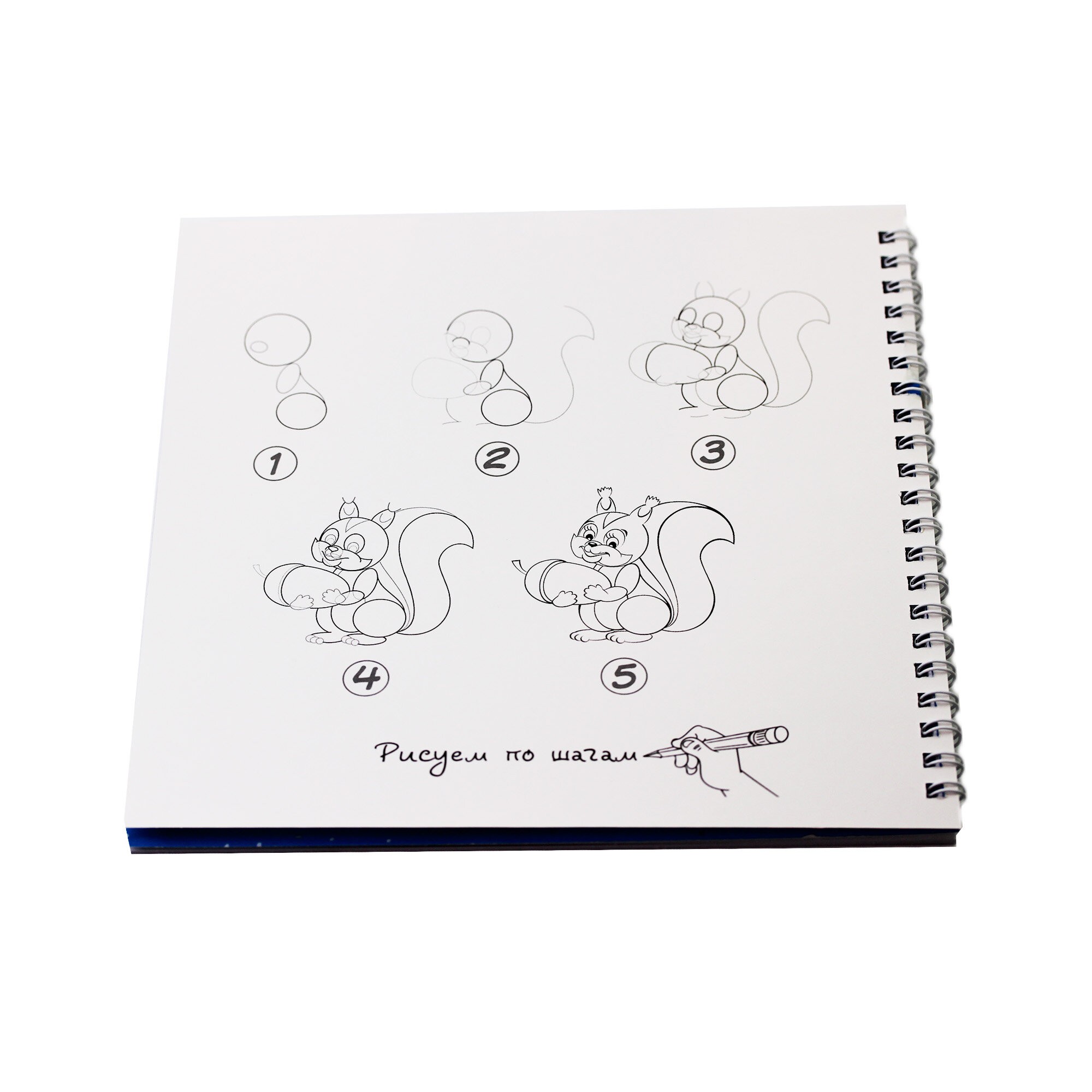 Снегирь – АСЛ202480 Снегирь – АСЛ202480