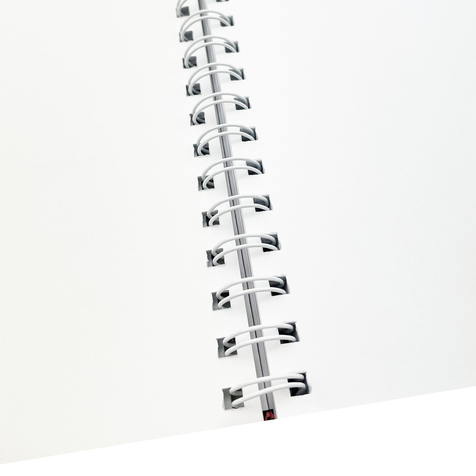 Чайки – ТС805296 Чайки – ТС805296