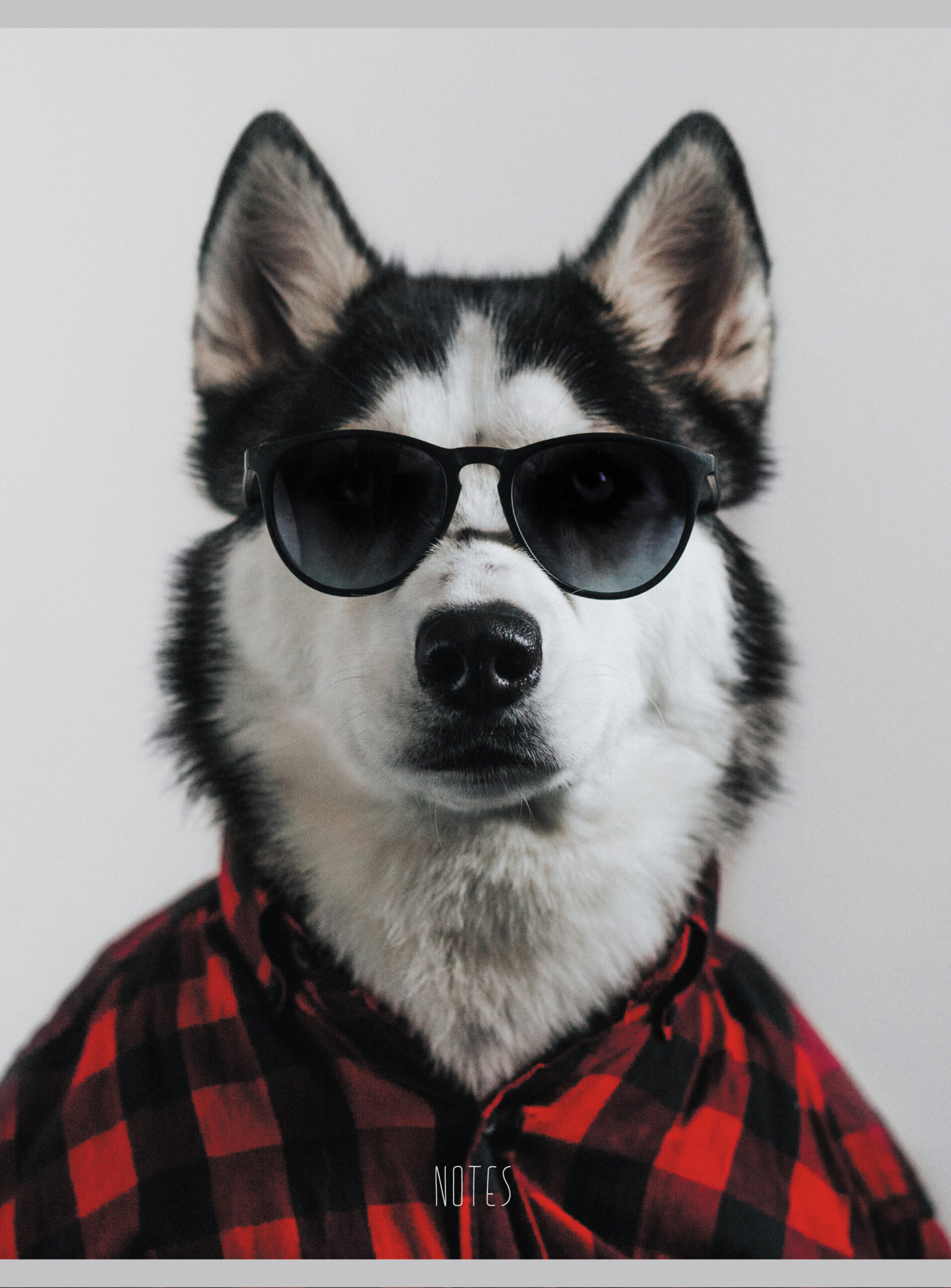 Привет! – Т4804729 Привет! – Т4804729