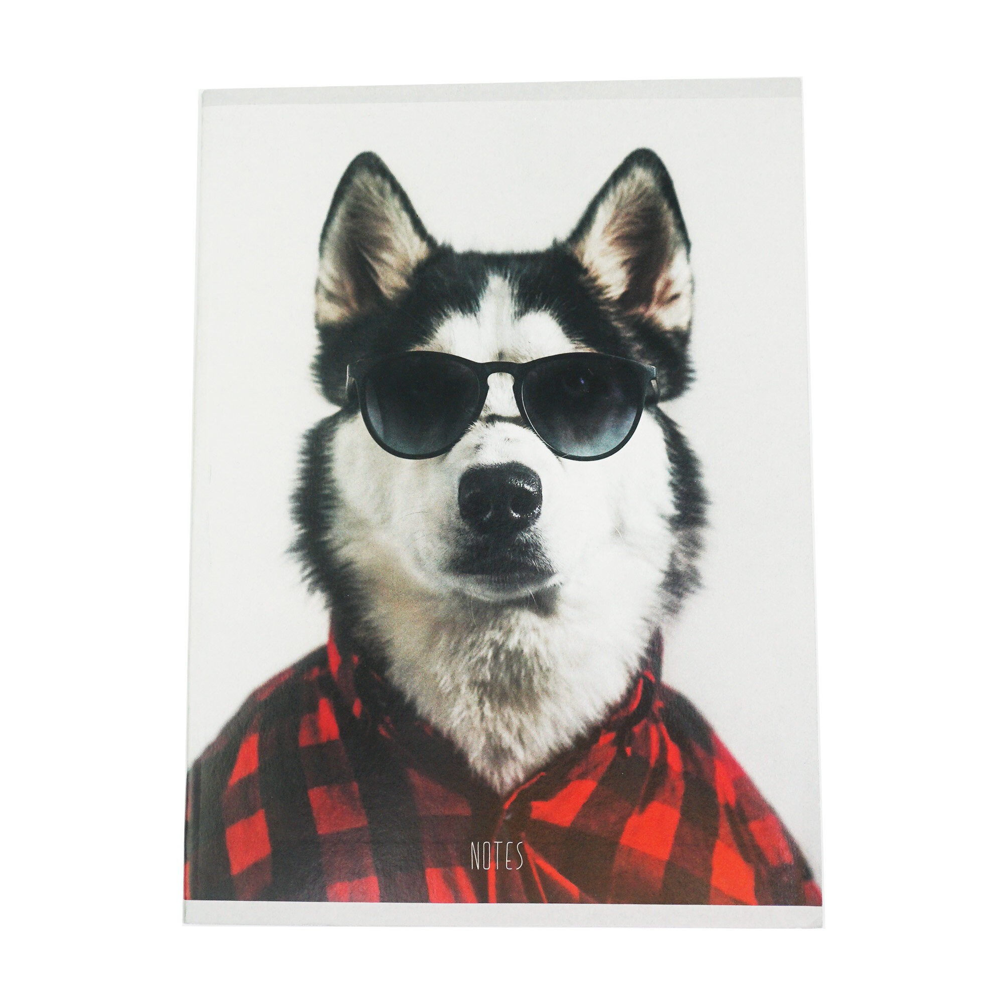 Привет! – Т4804729 Привет! – Т4804729