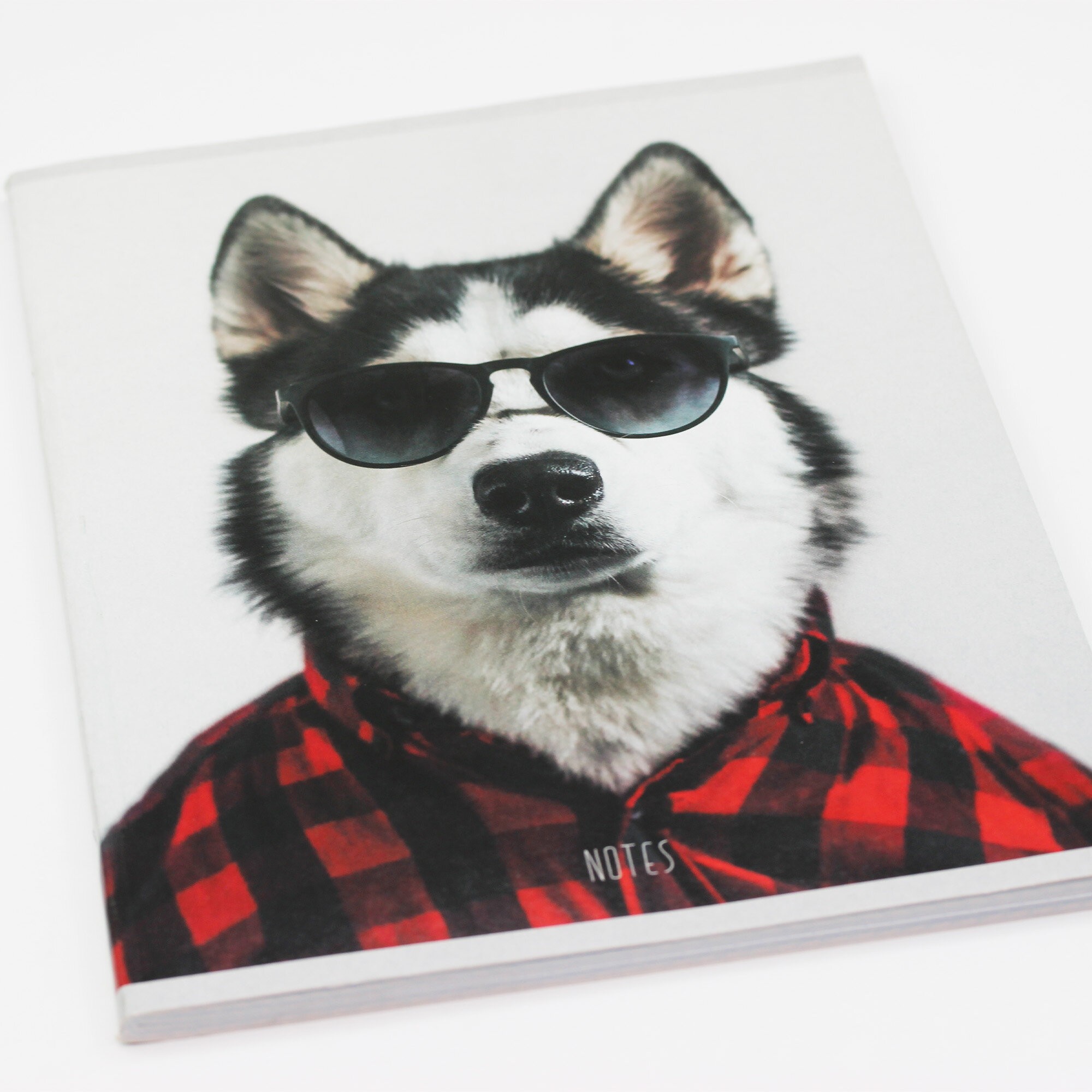 Привет! – Т4804729 Привет! – Т4804729