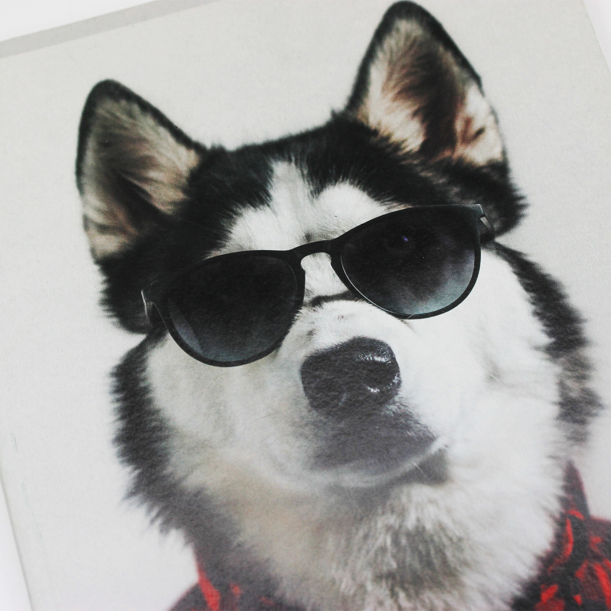 Привет! – Т4804729 Привет! – Т4804729