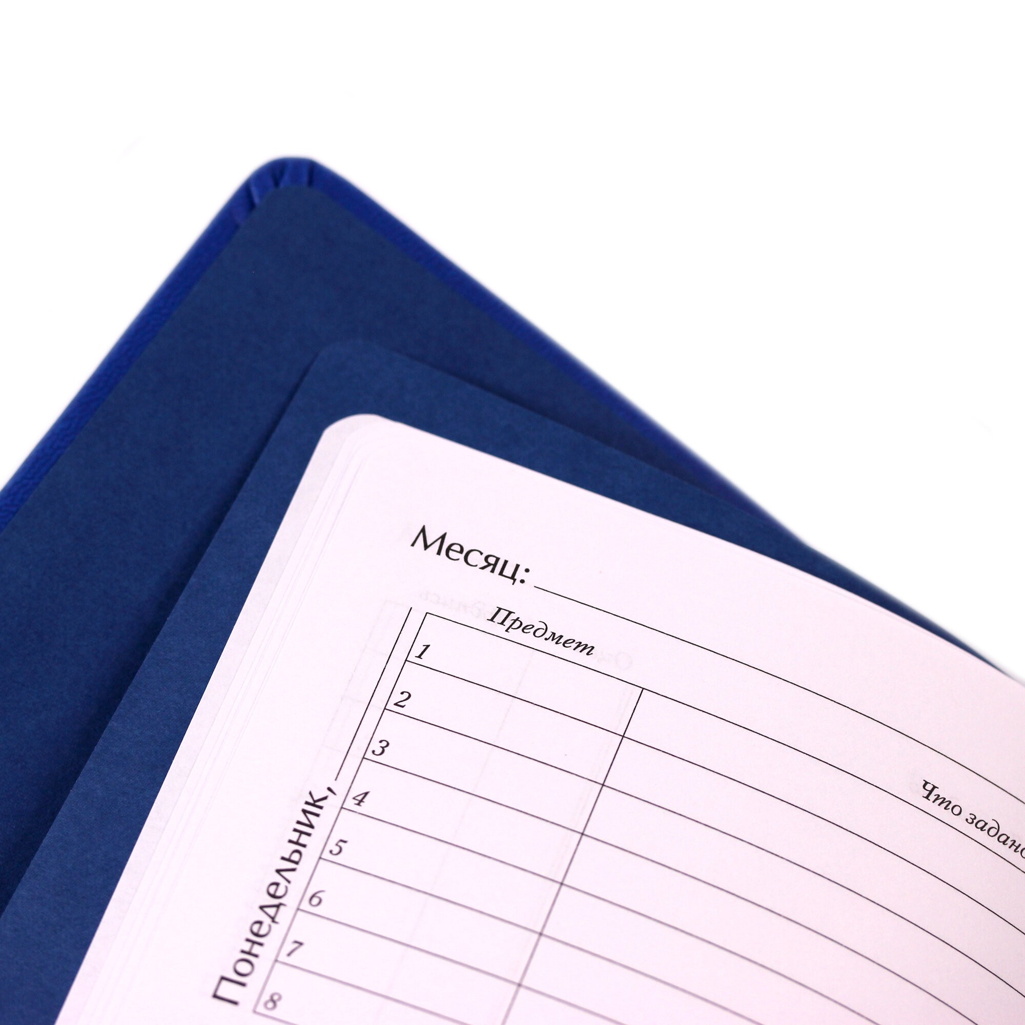 Государственная символика. Дизайн 9 – ДИК214804 Государственная символика. Дизайн 9 – ДИК214804