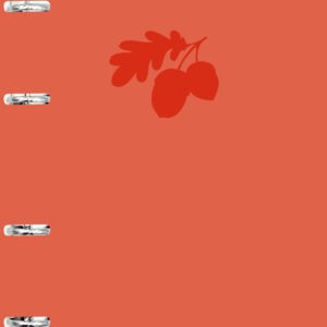 Главная страница