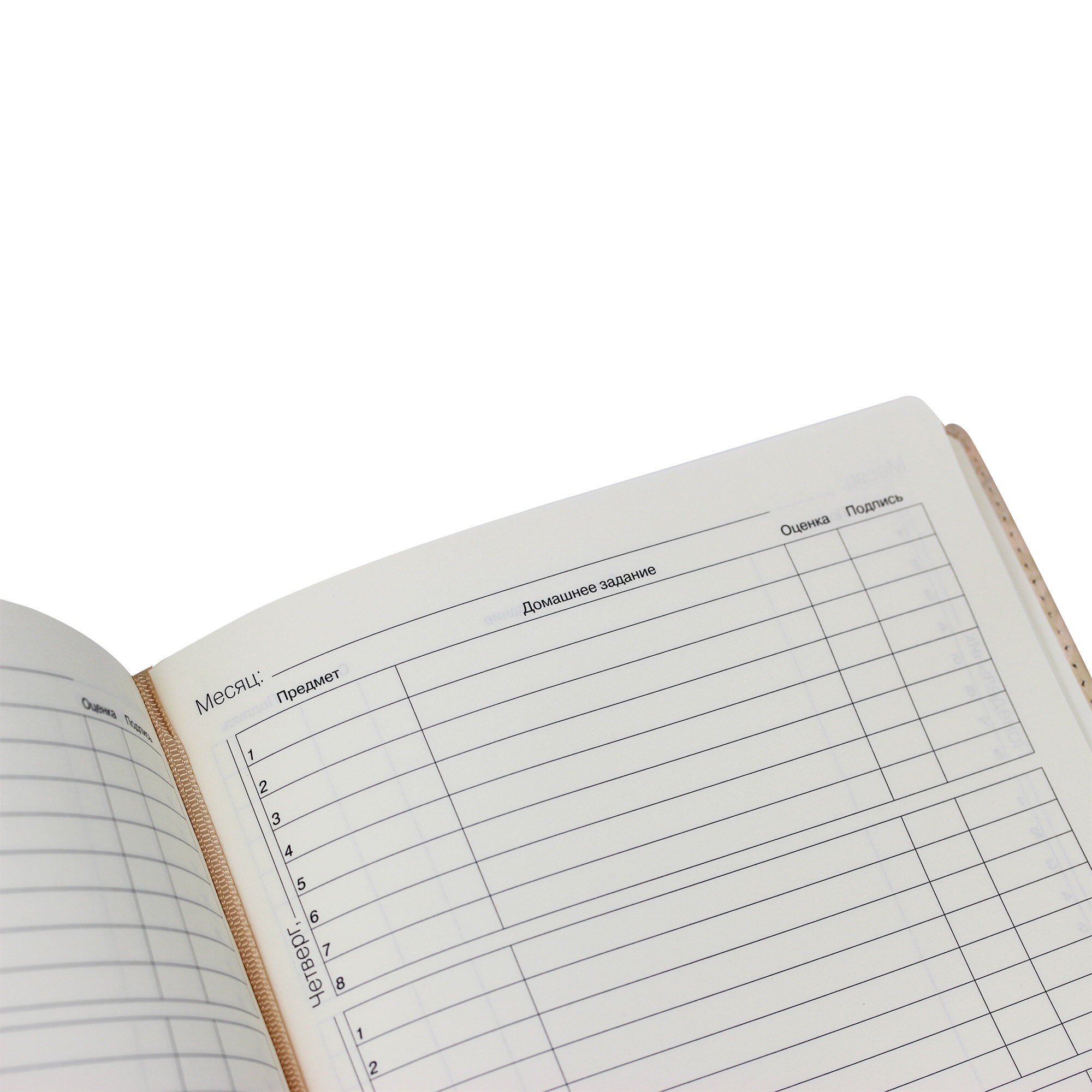 SchoolMix. Red Panda – ДУК224812 SchoolMix. Red Panda – ДУК224812