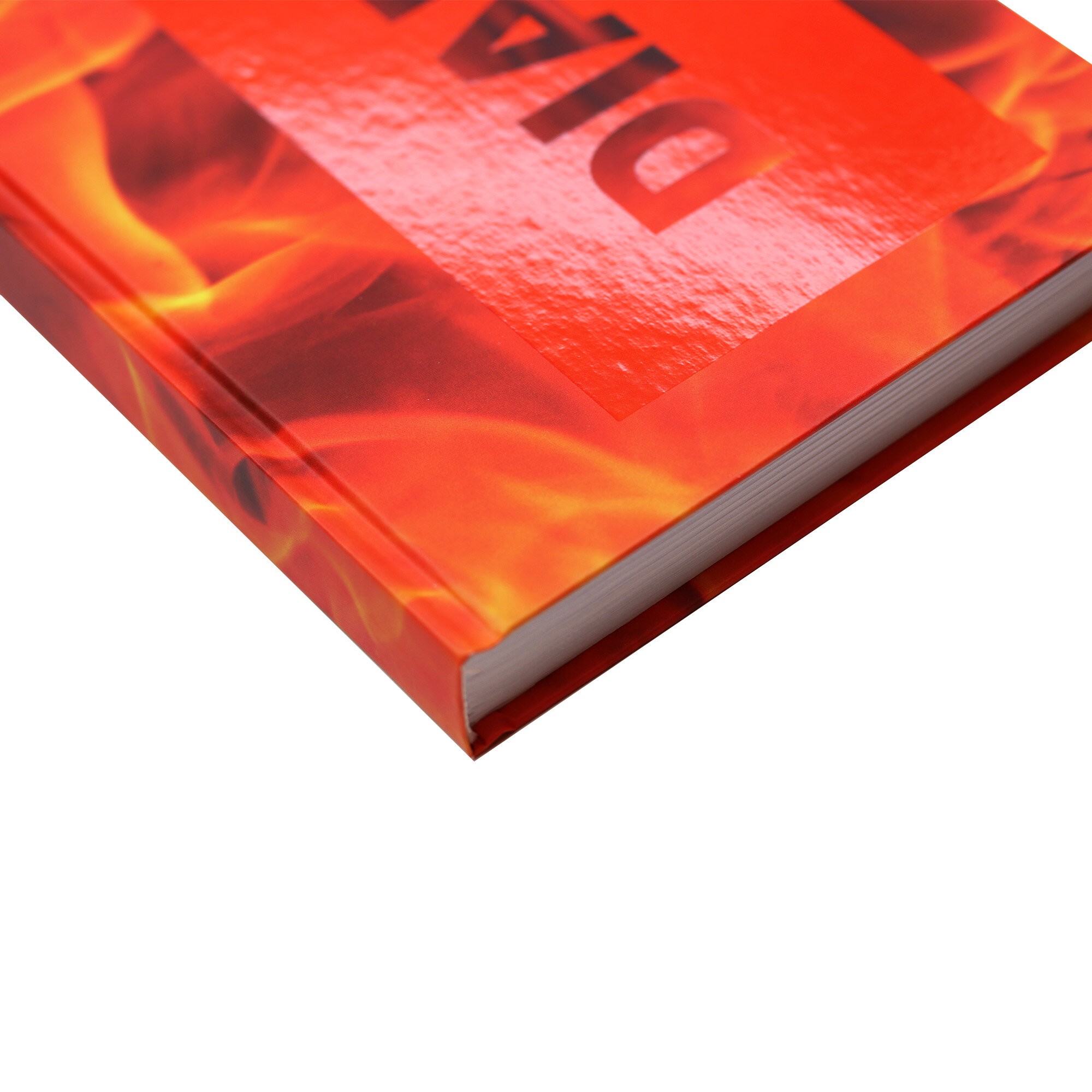 Огонь – ЕЖЛ23519203 Огонь – ЕЖЛ23519203