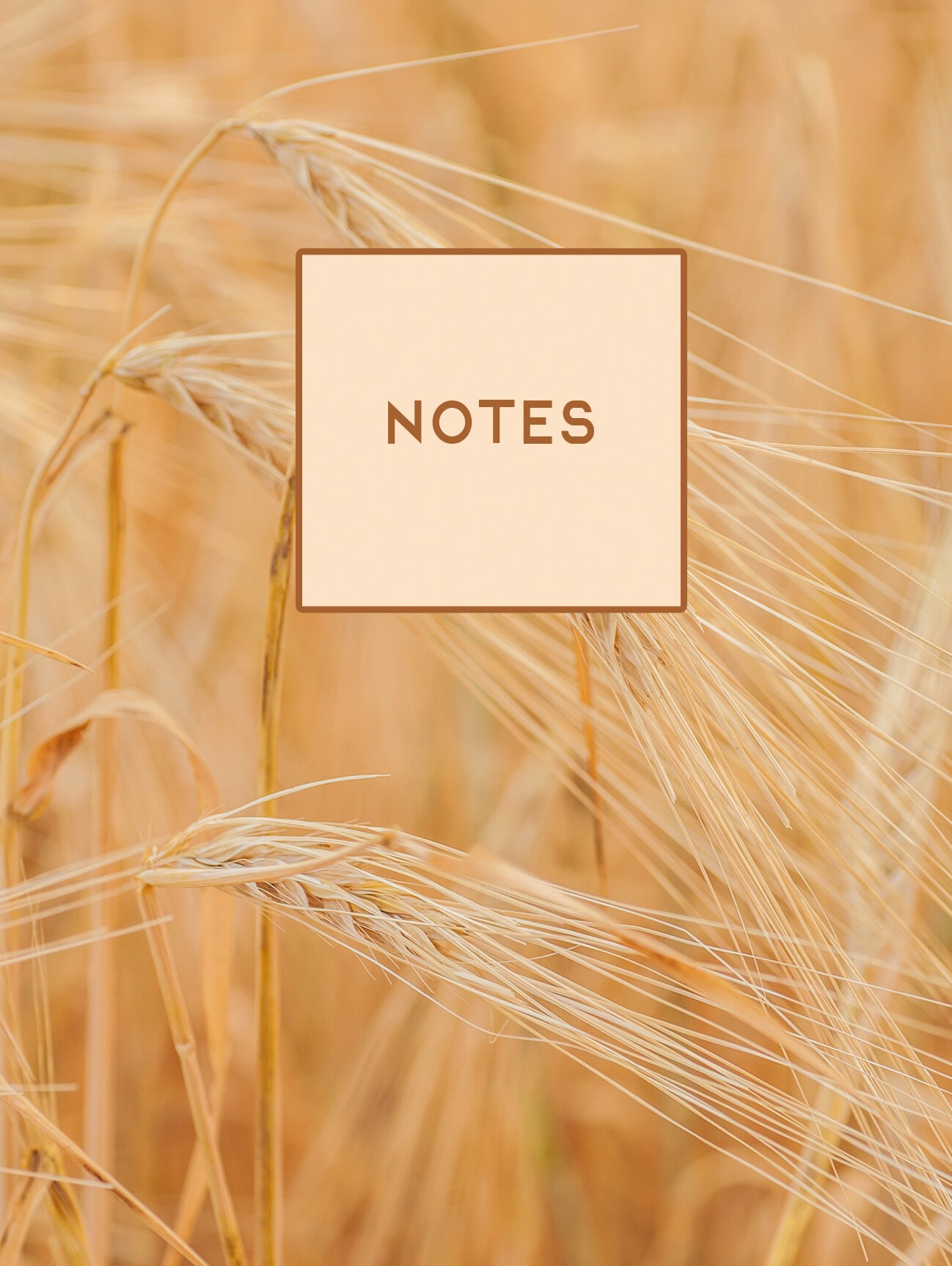 Поле – КЗ6483725 Поле – КЗ6483725