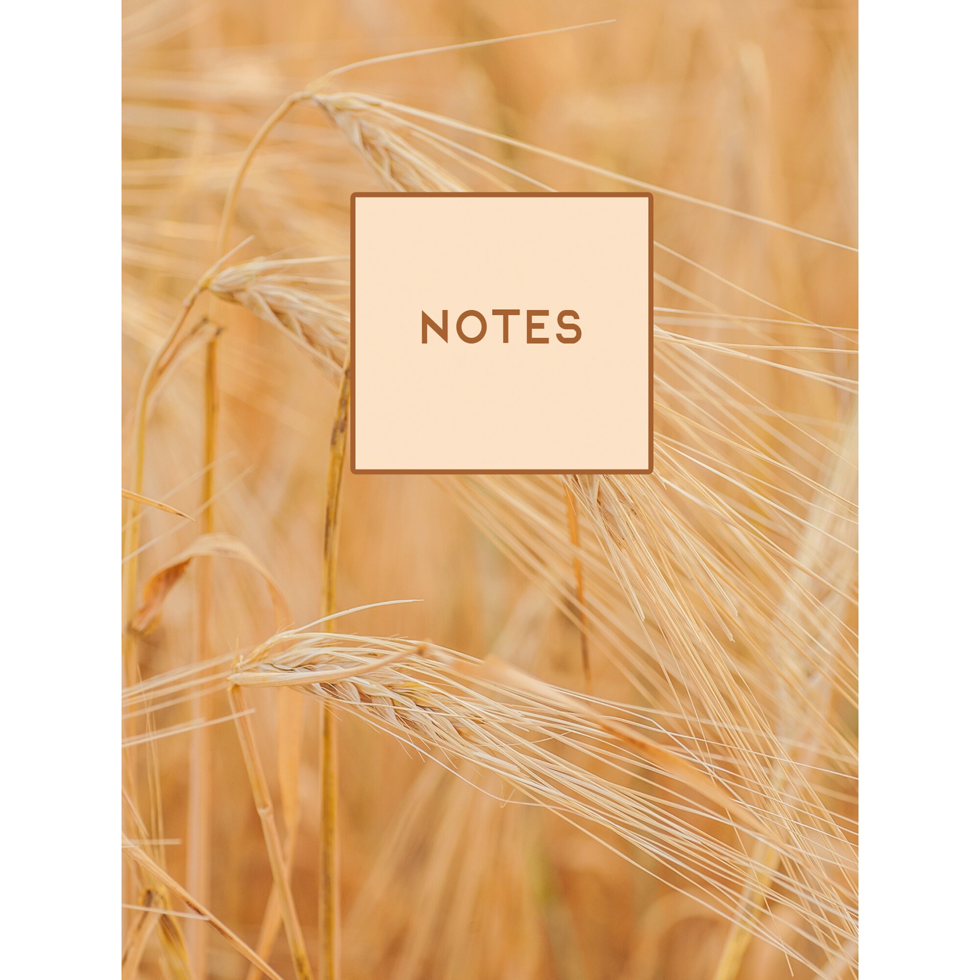 Поле – КЗ6483725 Поле – КЗ6483725