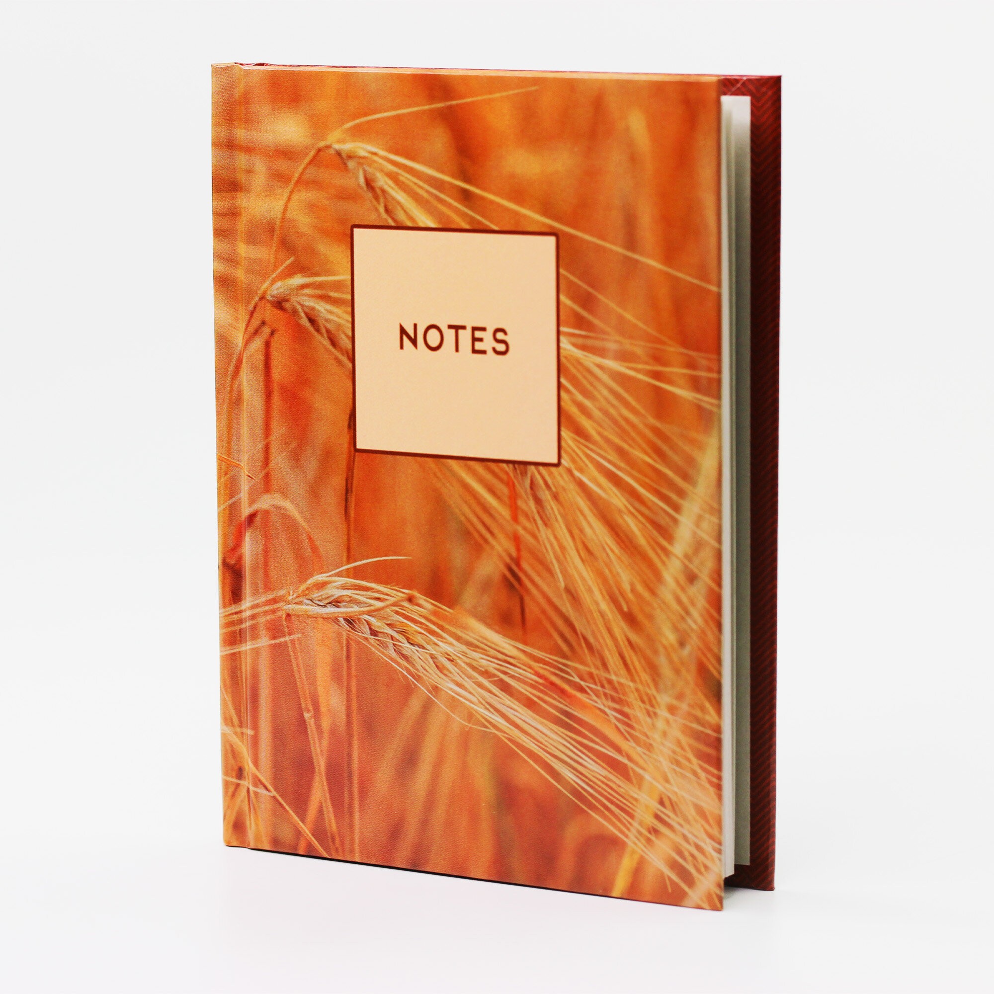 Поле – КЗ6483725 Поле – КЗ6483725