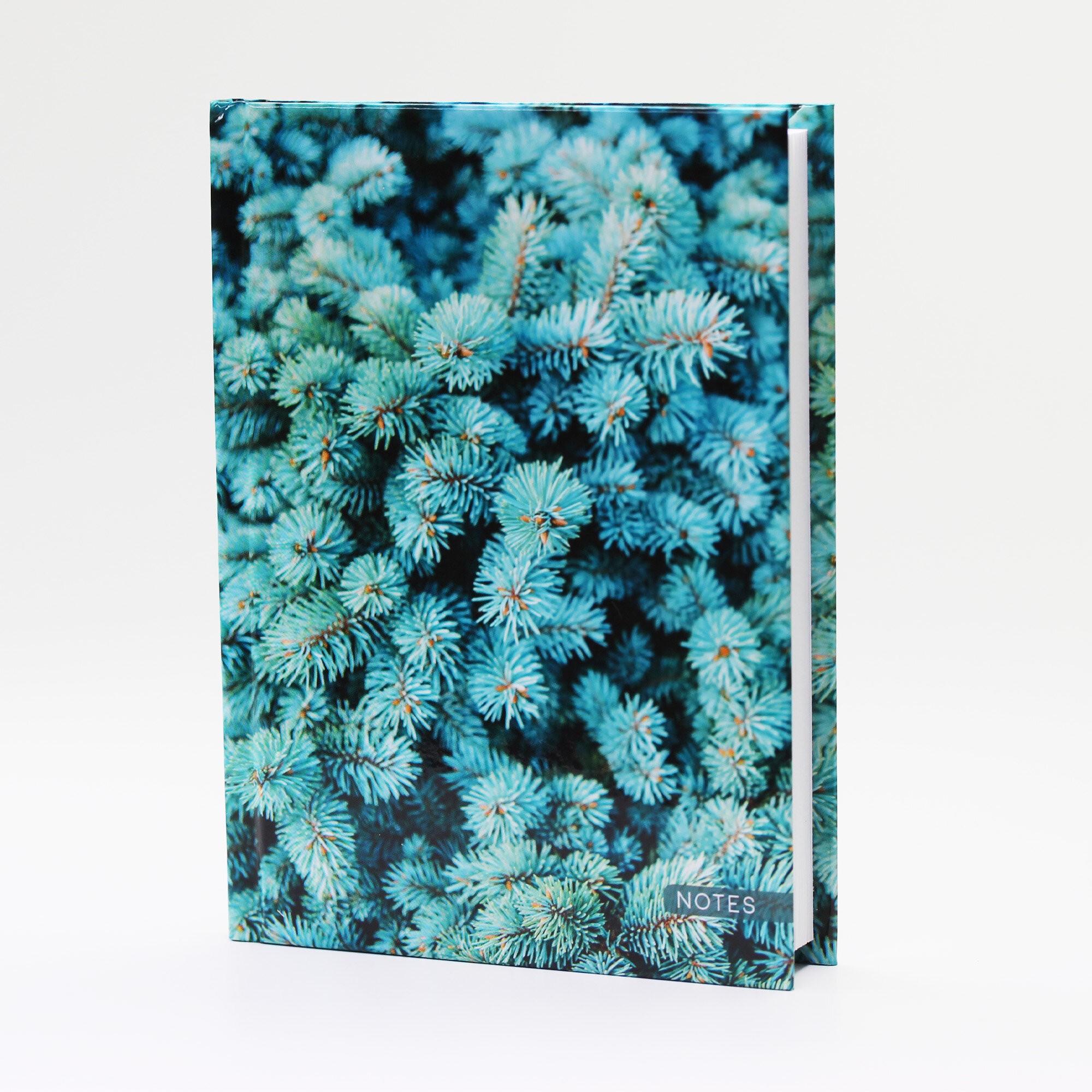 Ель – КЗ6643730 Ель – КЗ6643730