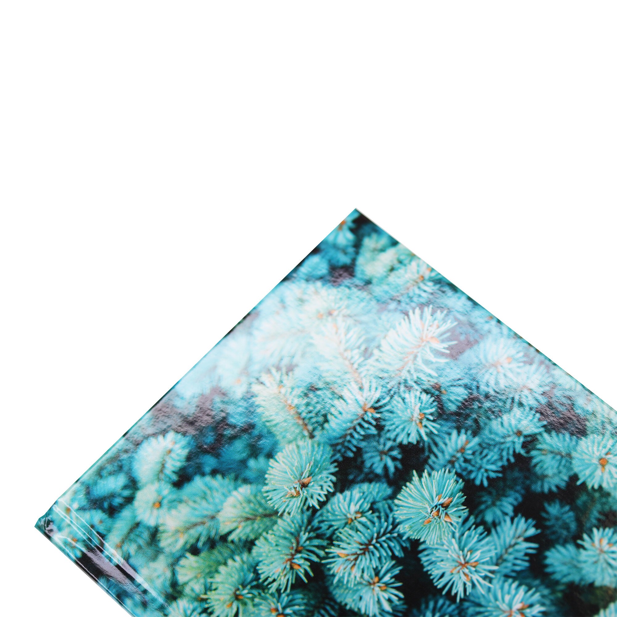 Ель – КЗ6643730 Ель – КЗ6643730