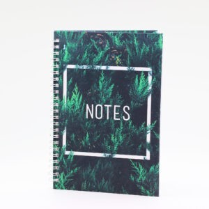 Главная страница