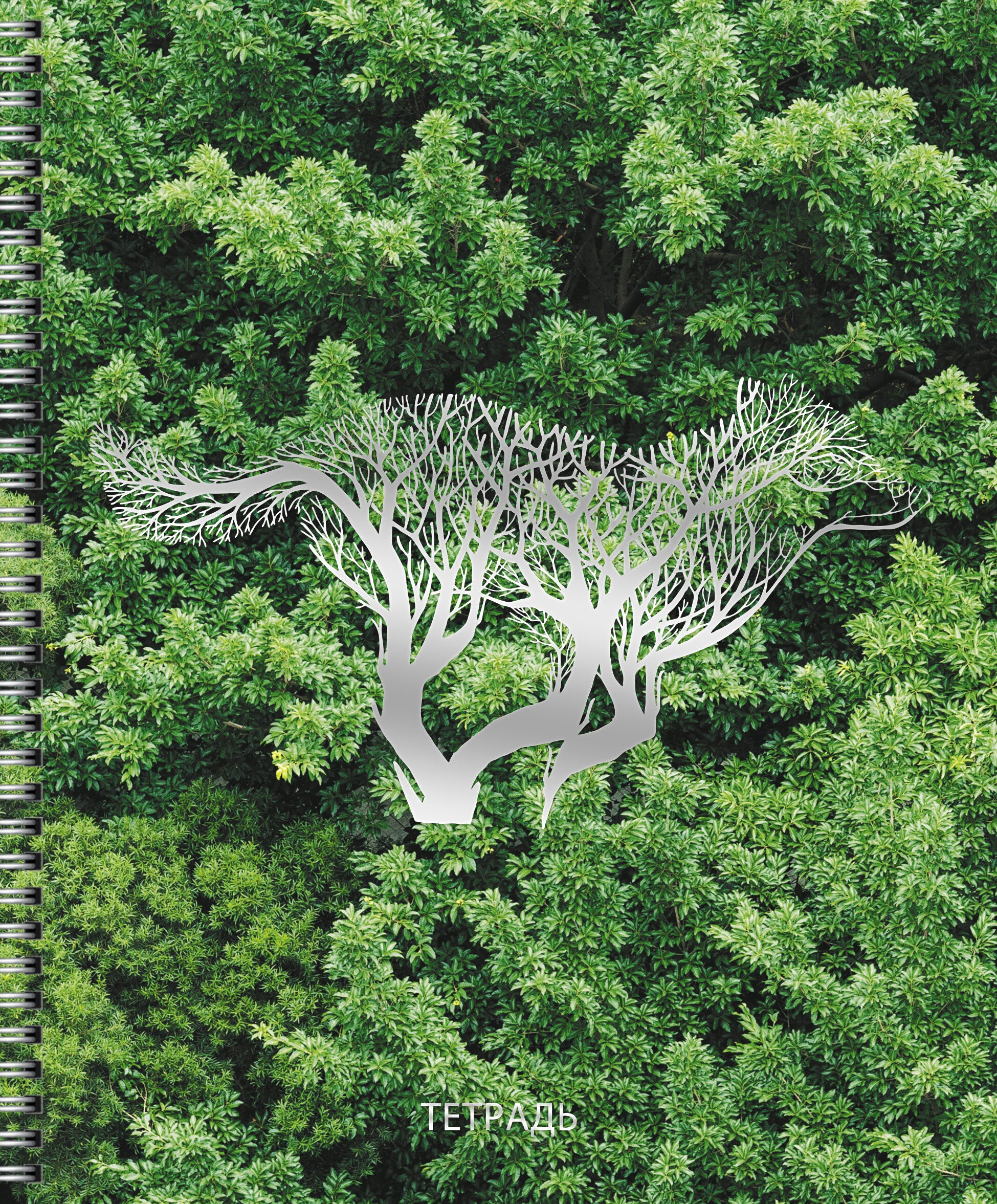 Тайна леса – ТСФ808397 Тайна леса – ТСФ808397