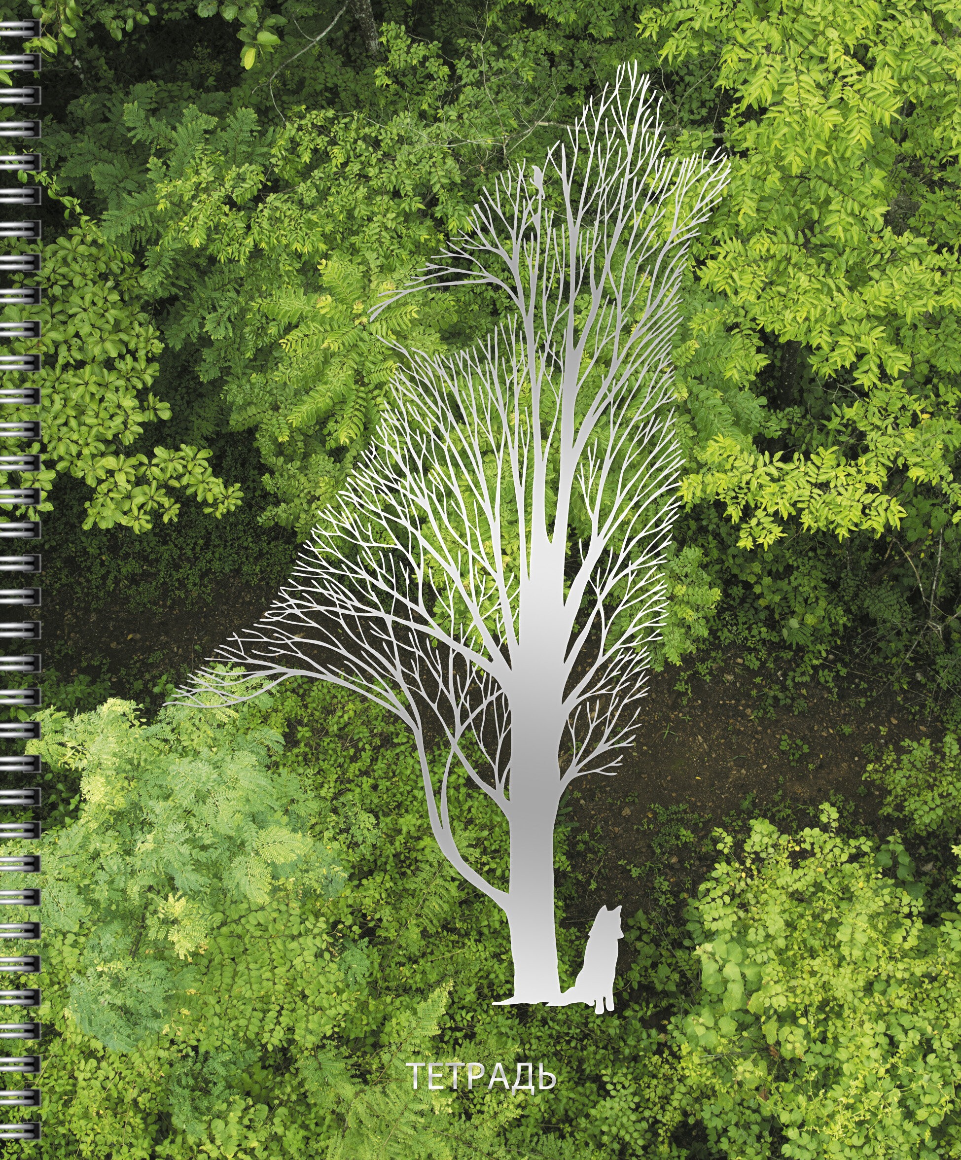 Тайна леса – ТСФ808397 Тайна леса – ТСФ808397