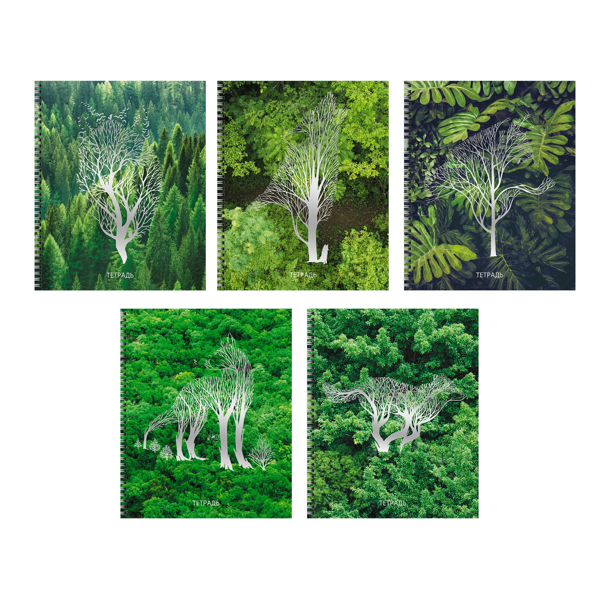 Тайна леса – ТСФ808397 Тайна леса – ТСФ808397