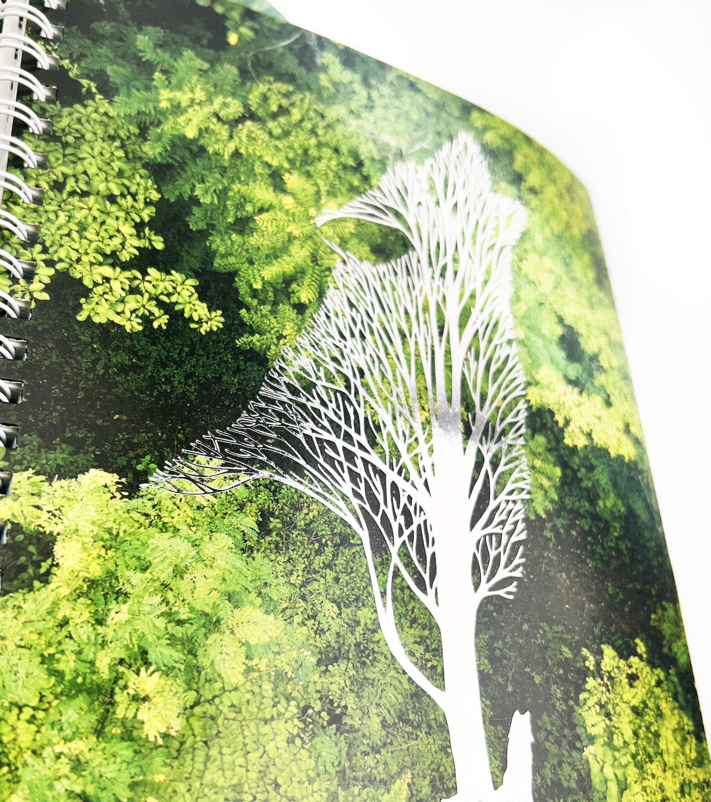 Тайна леса – ТСФ808397 Тайна леса – ТСФ808397