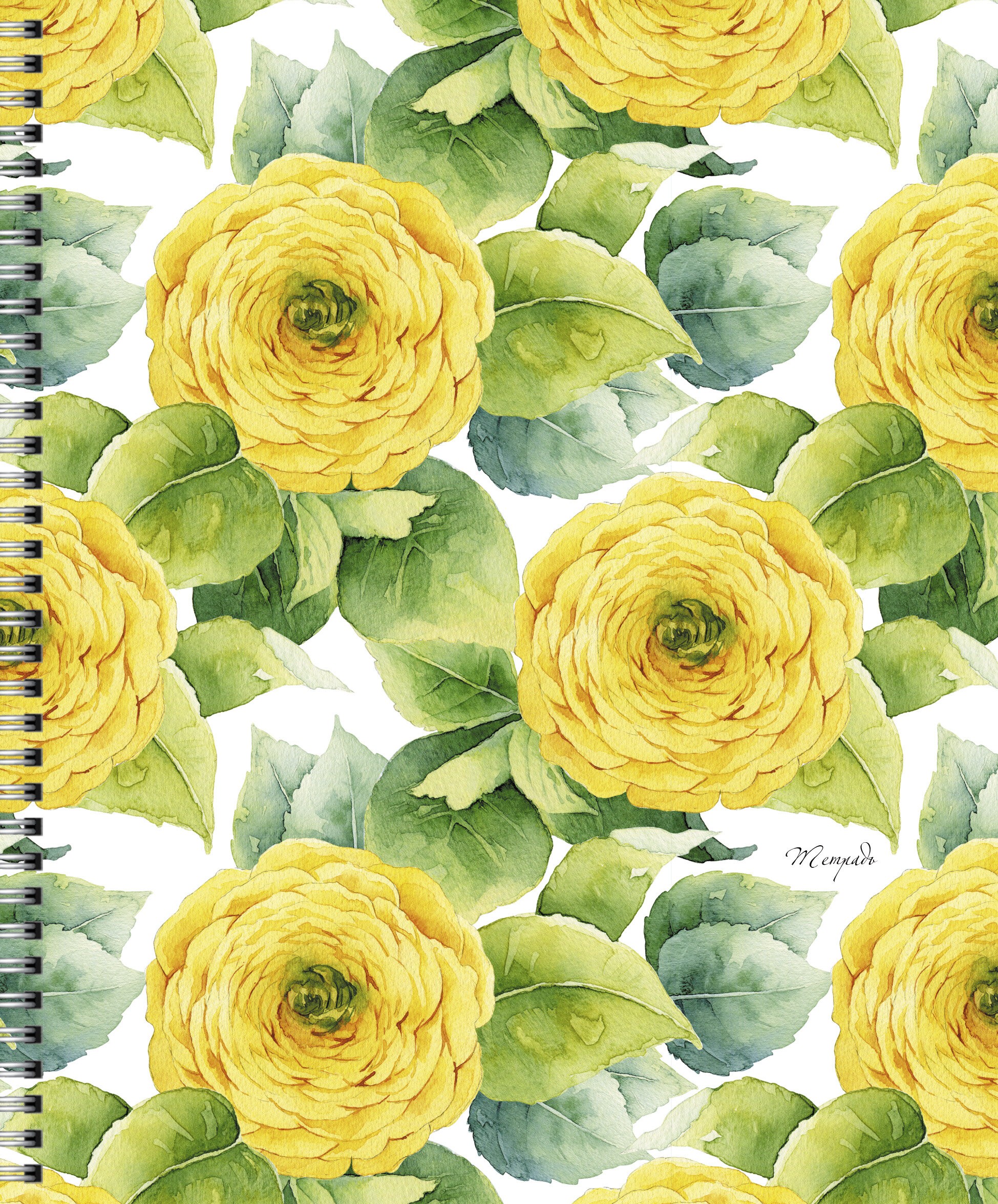 Blossom – ТС968432 Blossom – ТС968432