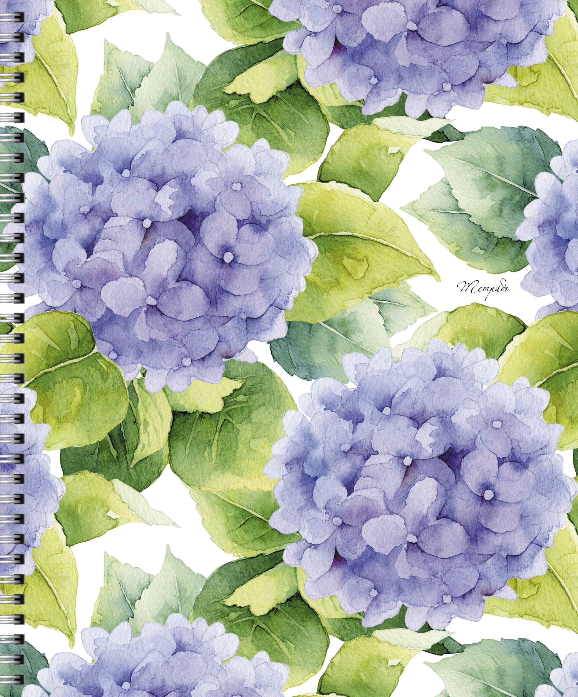 Blossom – ТС968432 Blossom – ТС968432