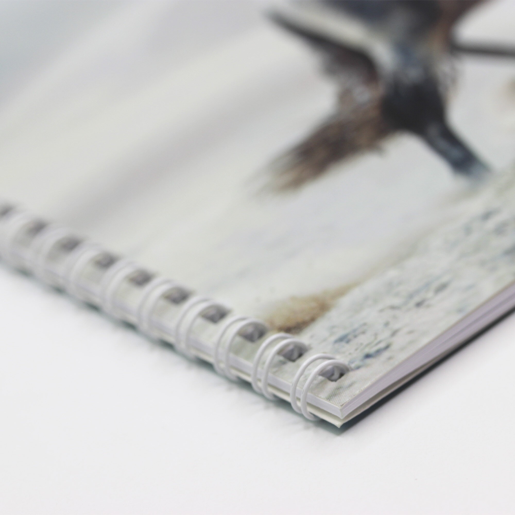 Грациозная лошадь – БС20181 Грациозная лошадь – БС20181