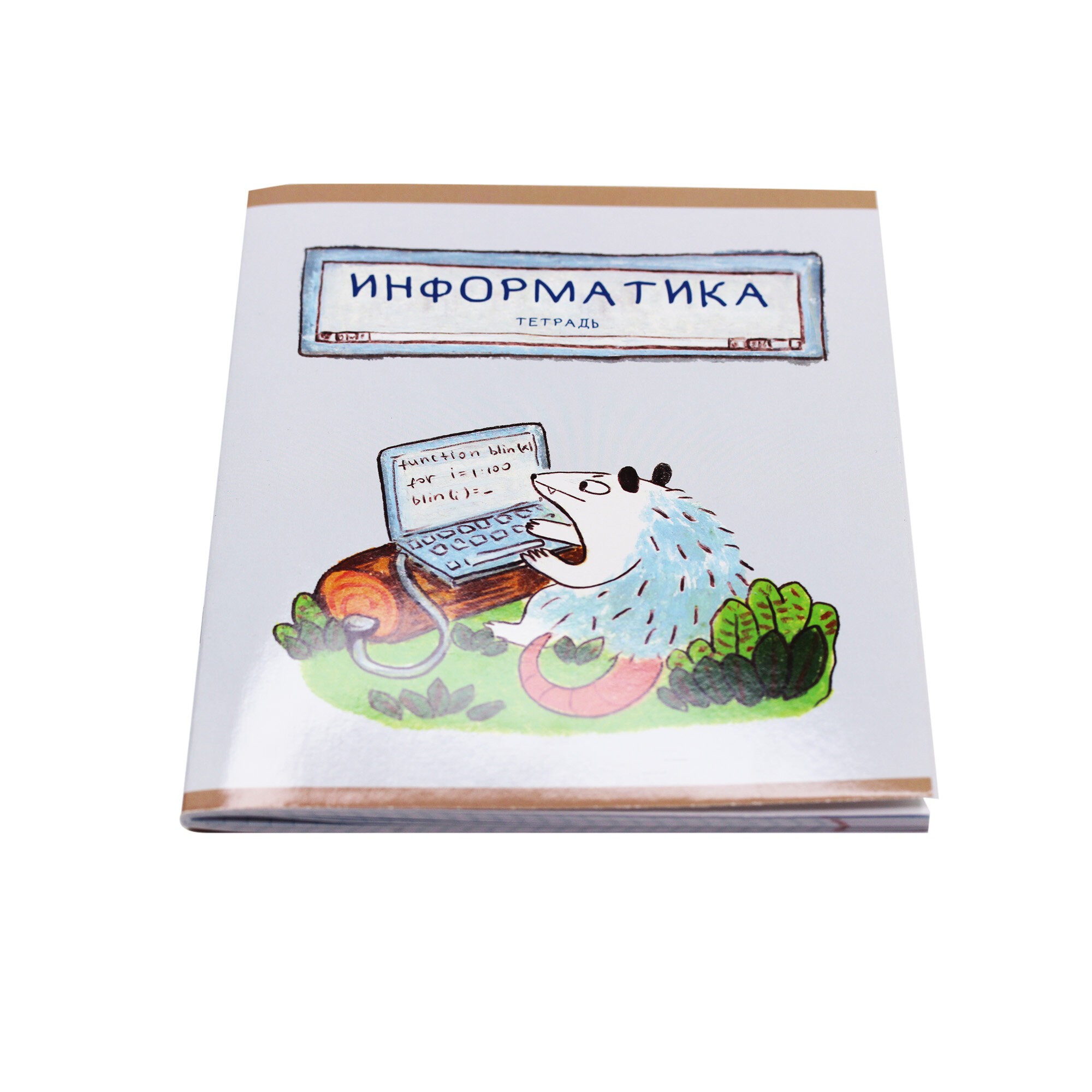 Лучший опоссум в мире. Информатика – ТТ488511 Лучший опоссум в мире. Информатика – ТТ488511