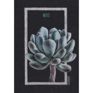 Главная страница