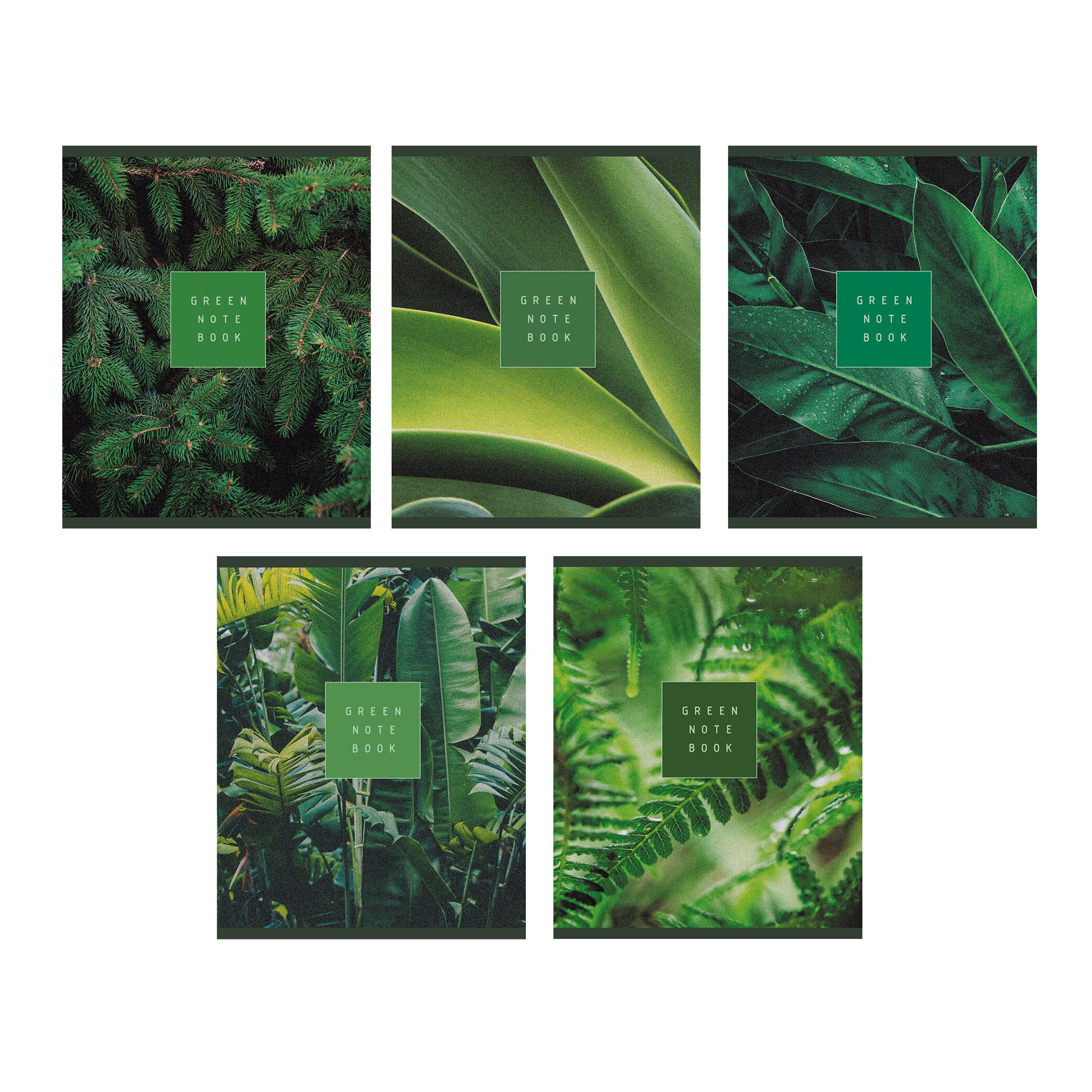 Свежесть – ТК488365 Свежесть – ТК488365