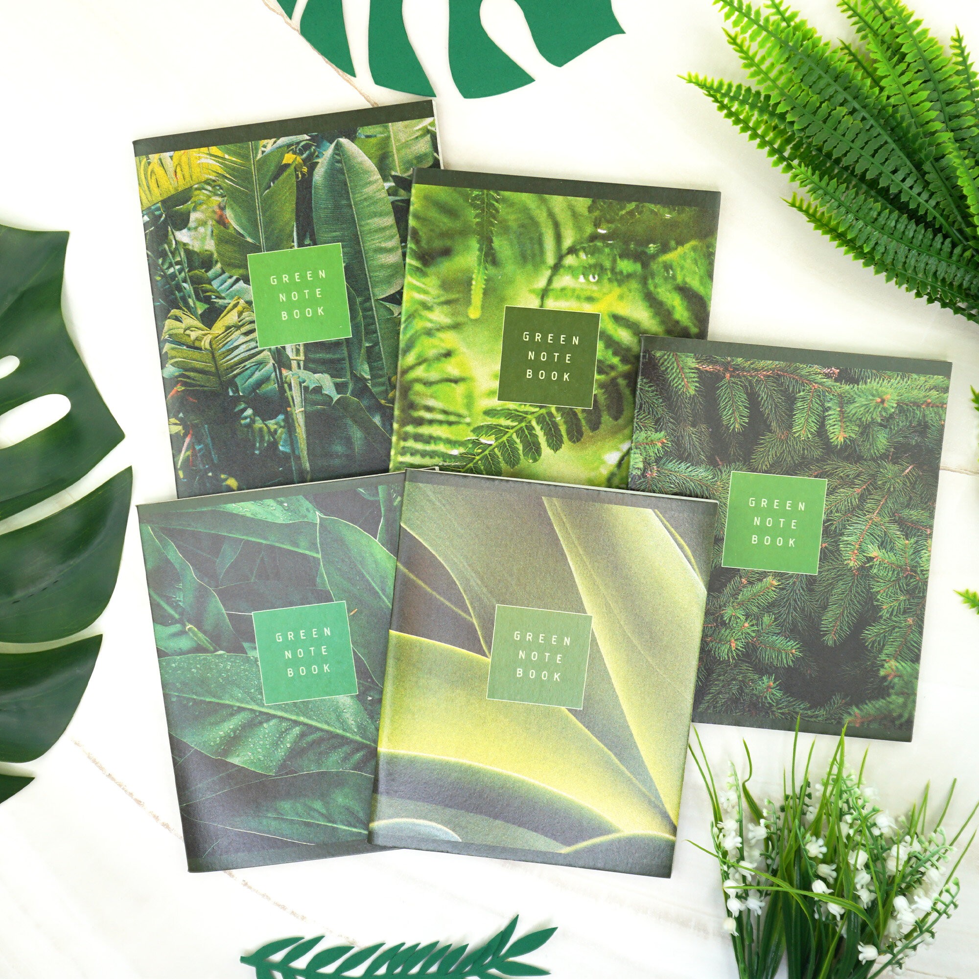 Свежесть – ТК488365 Свежесть – ТК488365