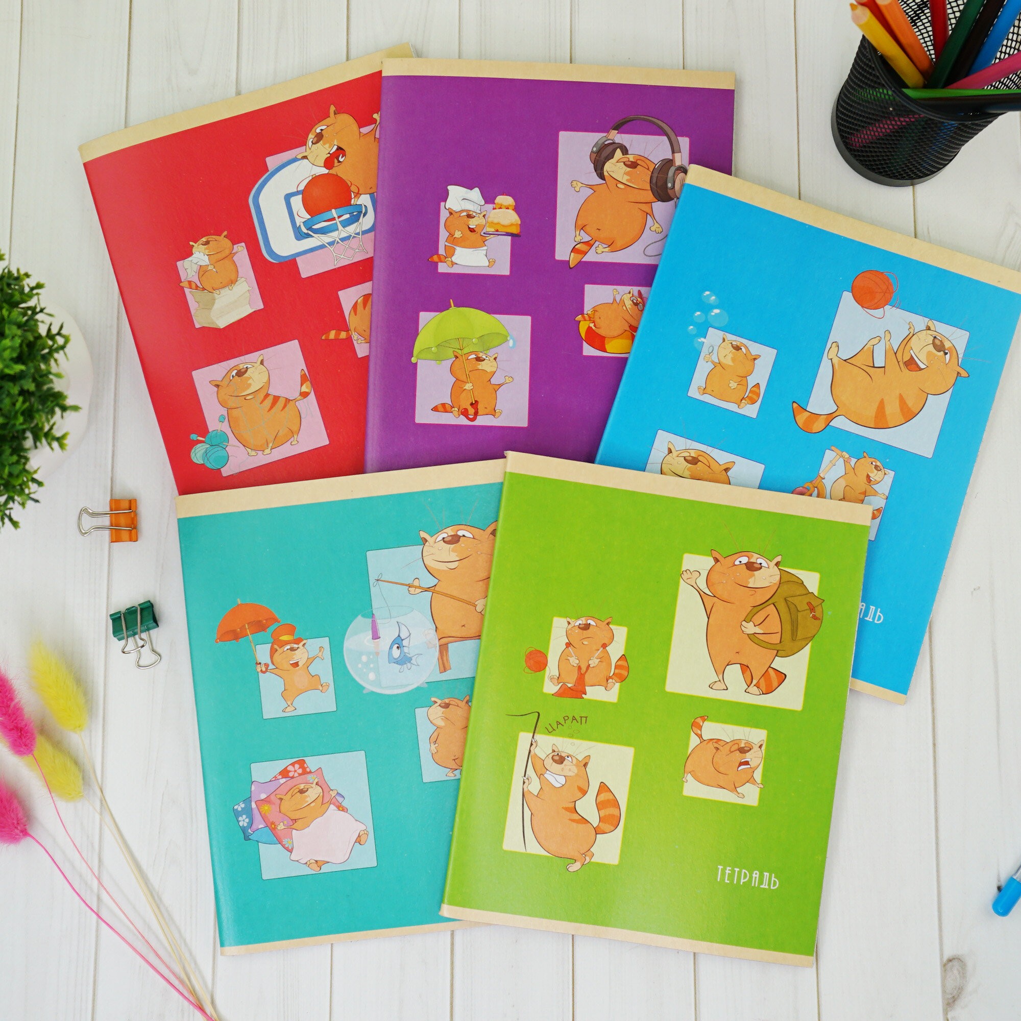 Жизнь кота – ТК488366 Жизнь кота – ТК488366