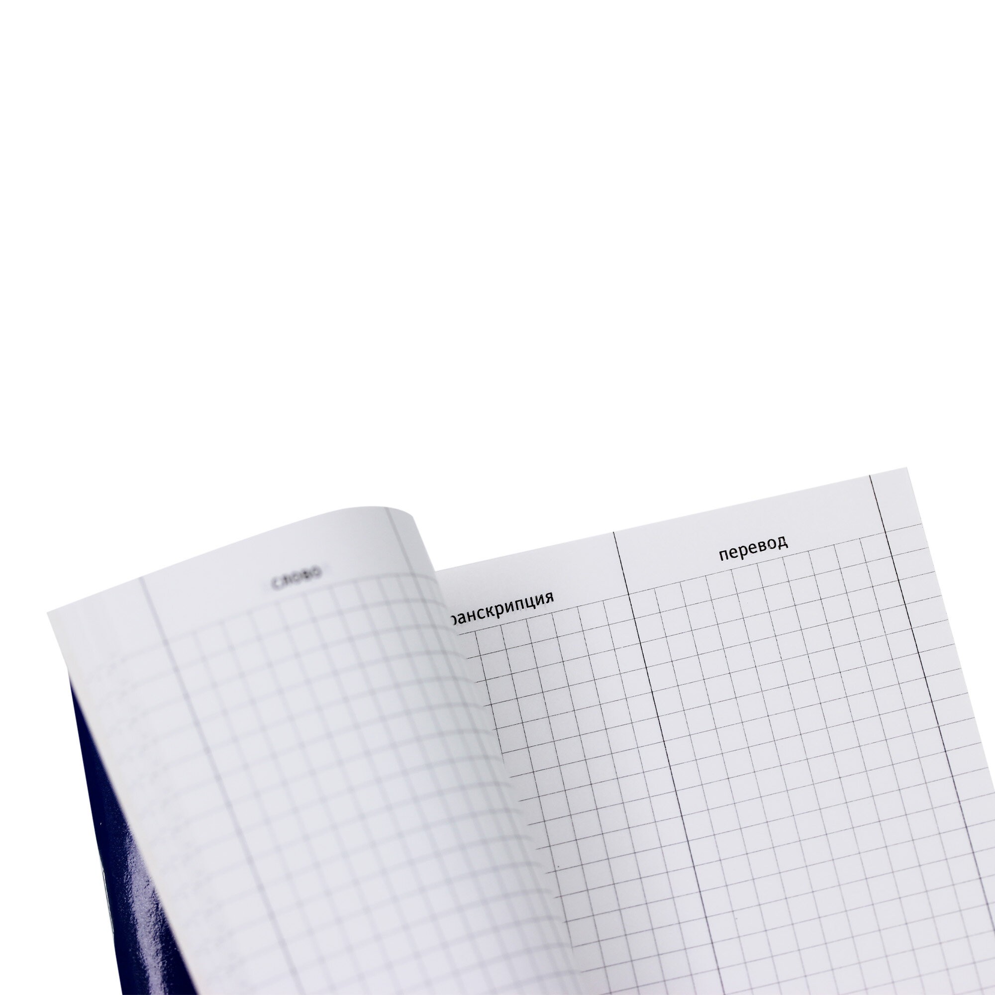 Робот Лингво – ТИС54867 Робот Лингво – ТИС54867