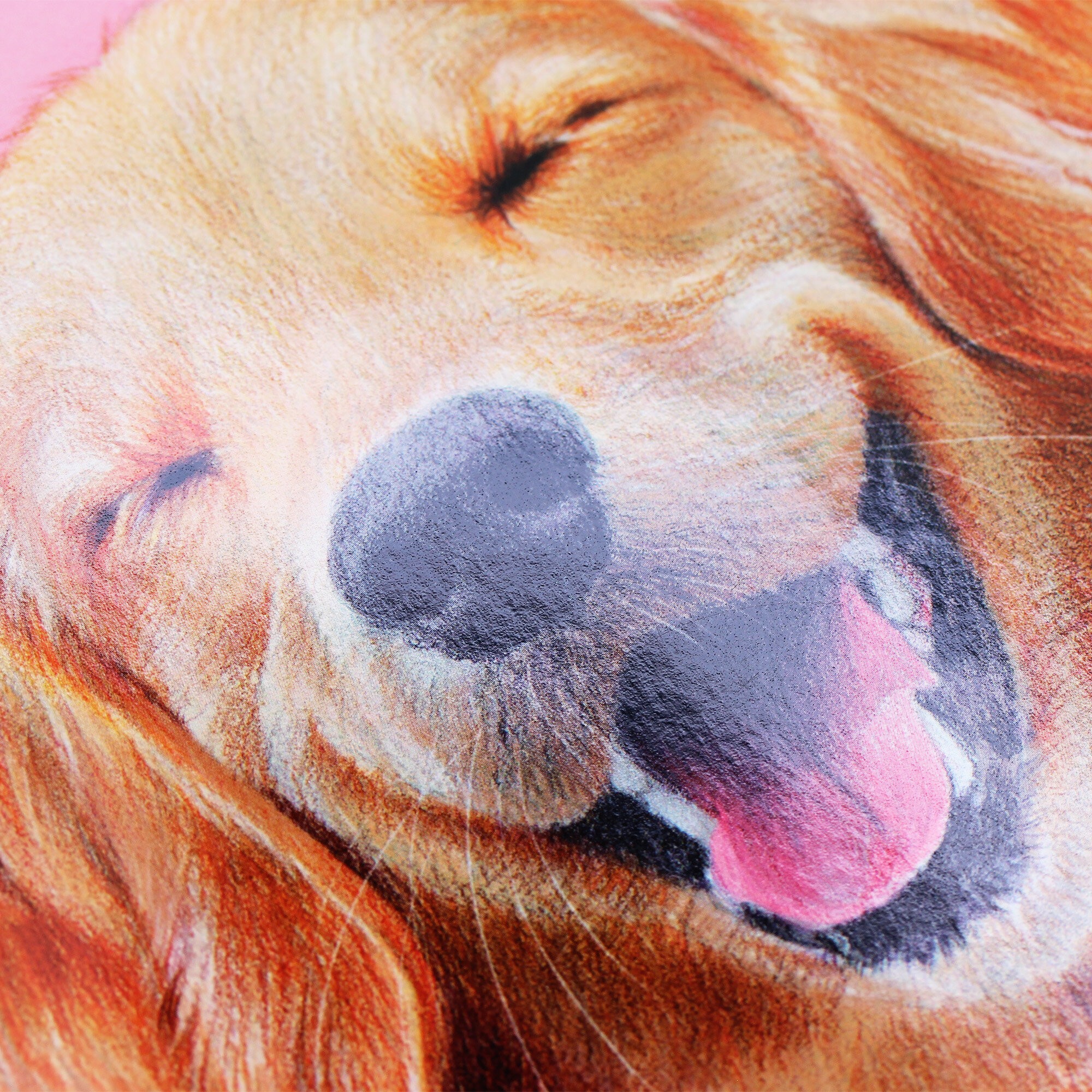 Собака-улыбака – АЛ402465 Собака-улыбака – АЛ402465