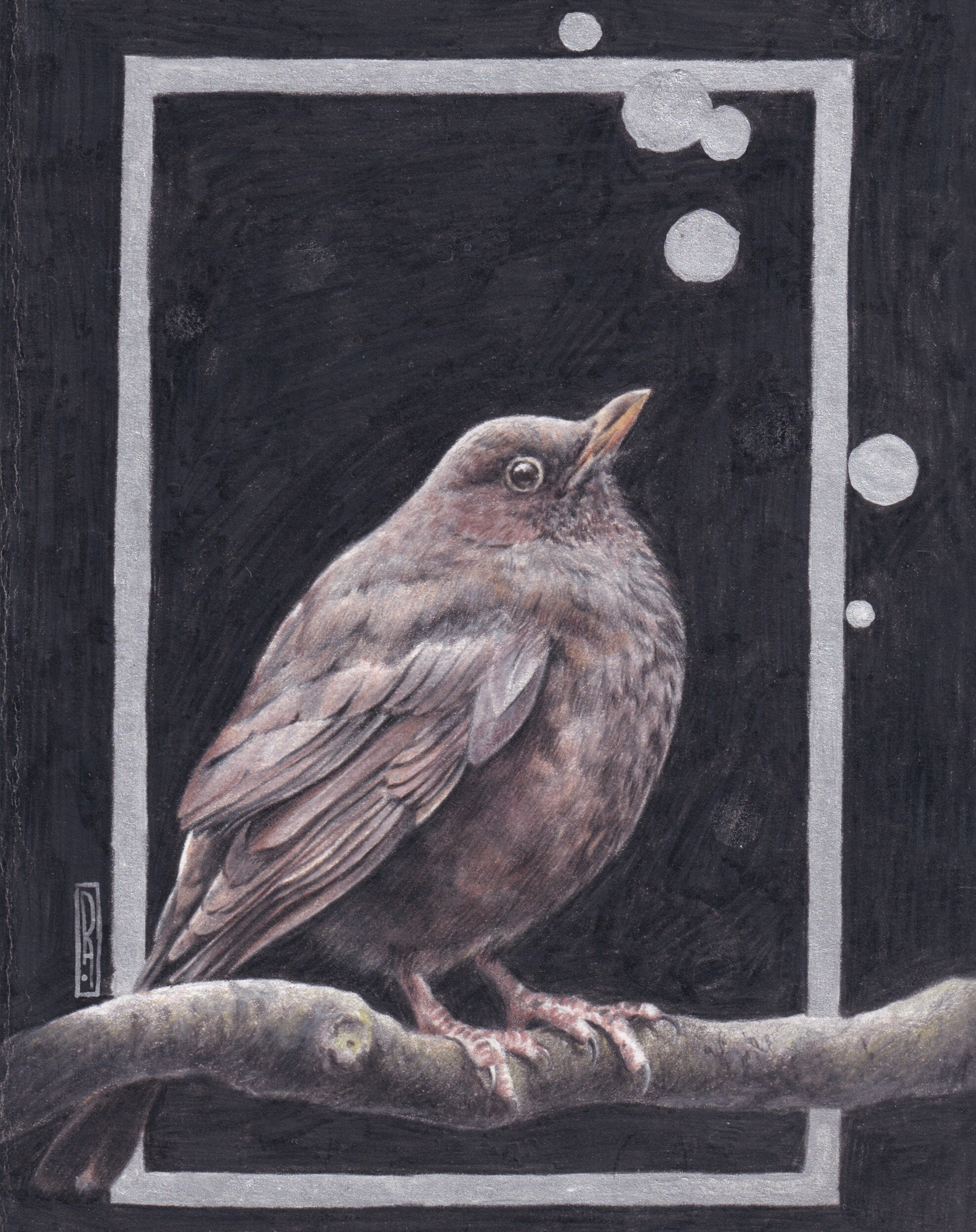 Птица (Эксклюзив) – ЕТИ596582 Птица (Эксклюзив) – ЕТИ596582