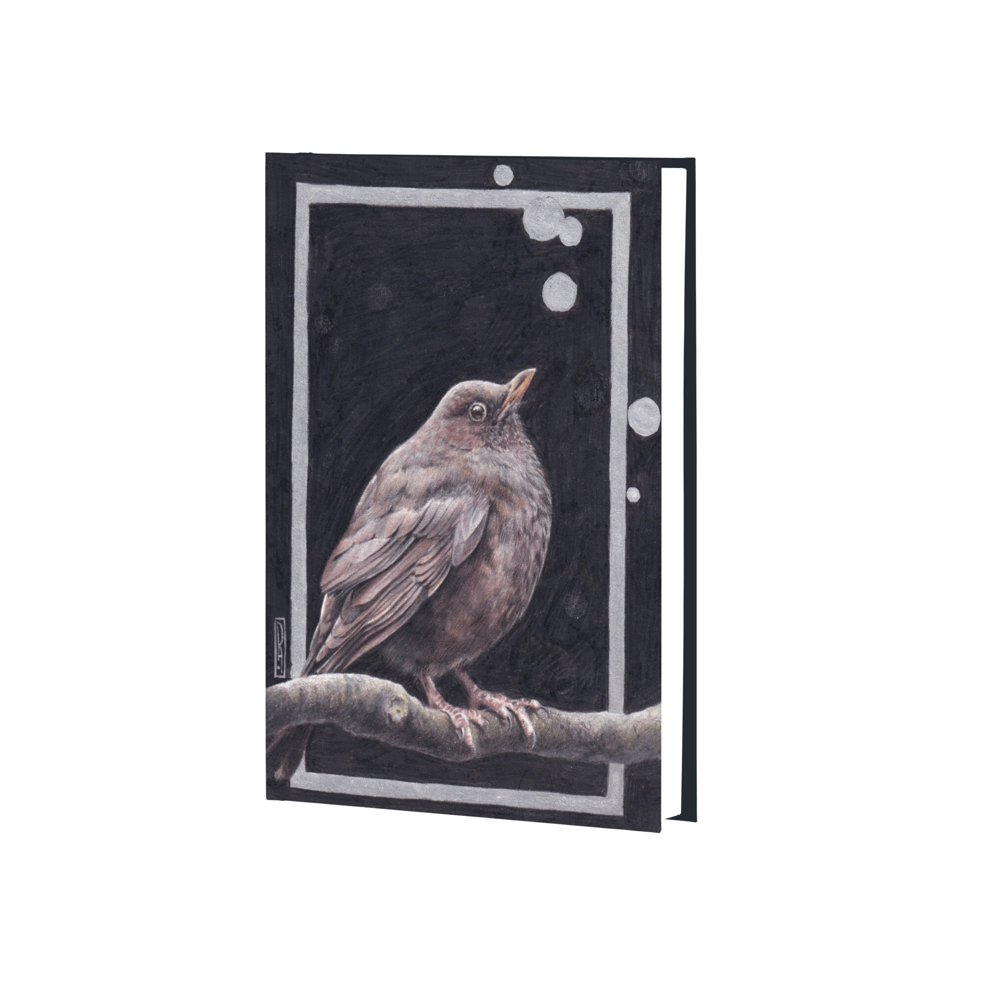 Птица (Эксклюзив) – ЕТИ596582 Птица (Эксклюзив) – ЕТИ596582