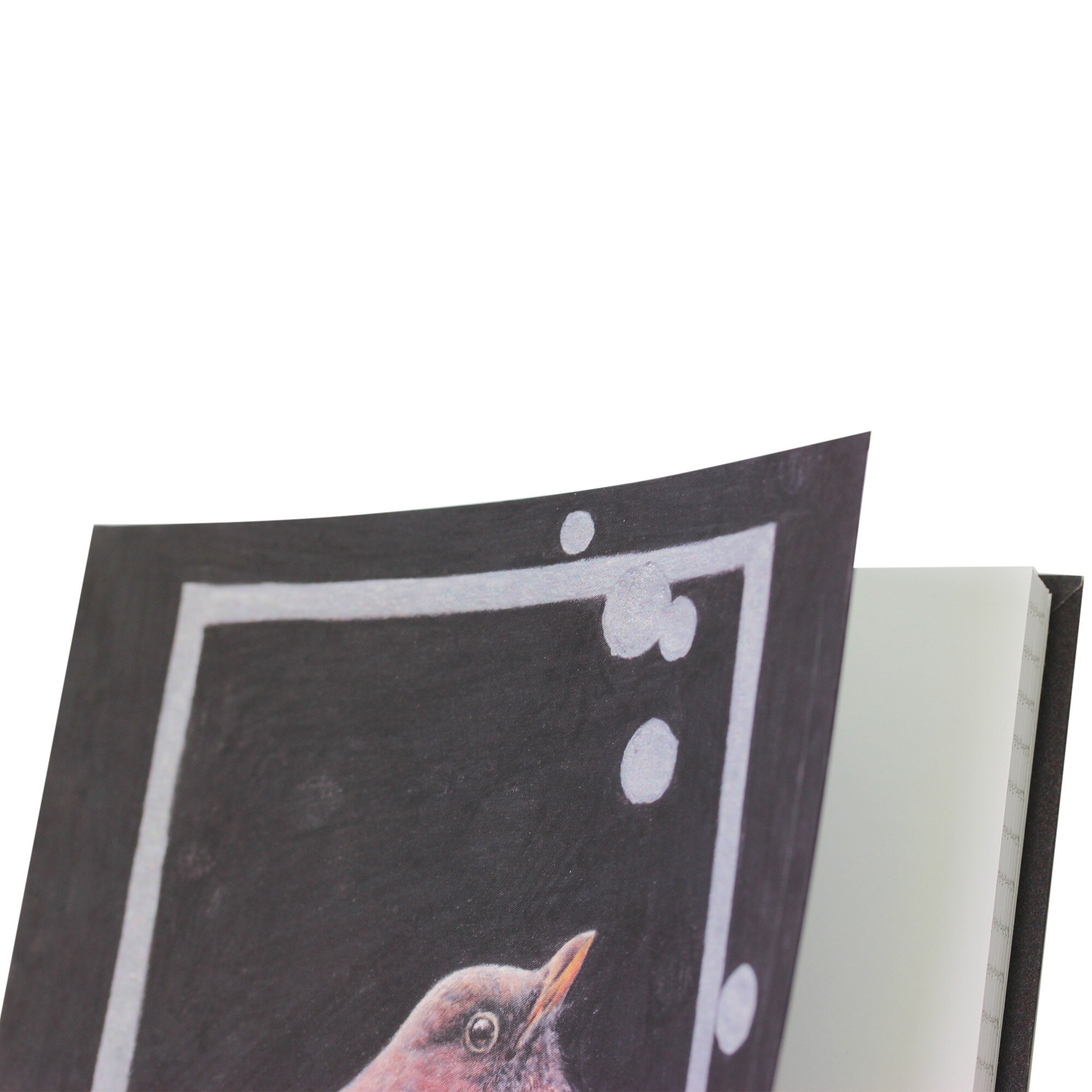 Птица (Эксклюзив) – ЕТИ596582 Птица (Эксклюзив) – ЕТИ596582