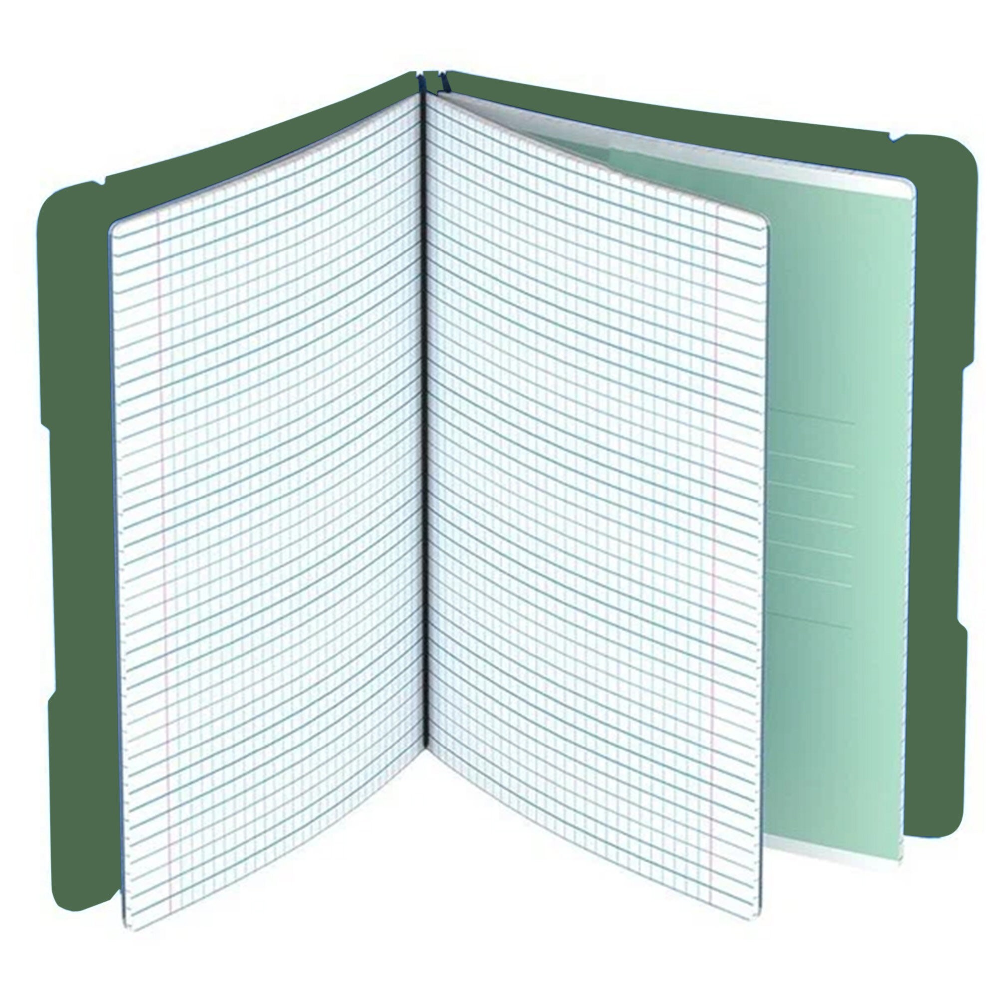 DoubleBook. Зеленый – ТПДБ596129 DoubleBook. Зеленый – ТПДБ596129