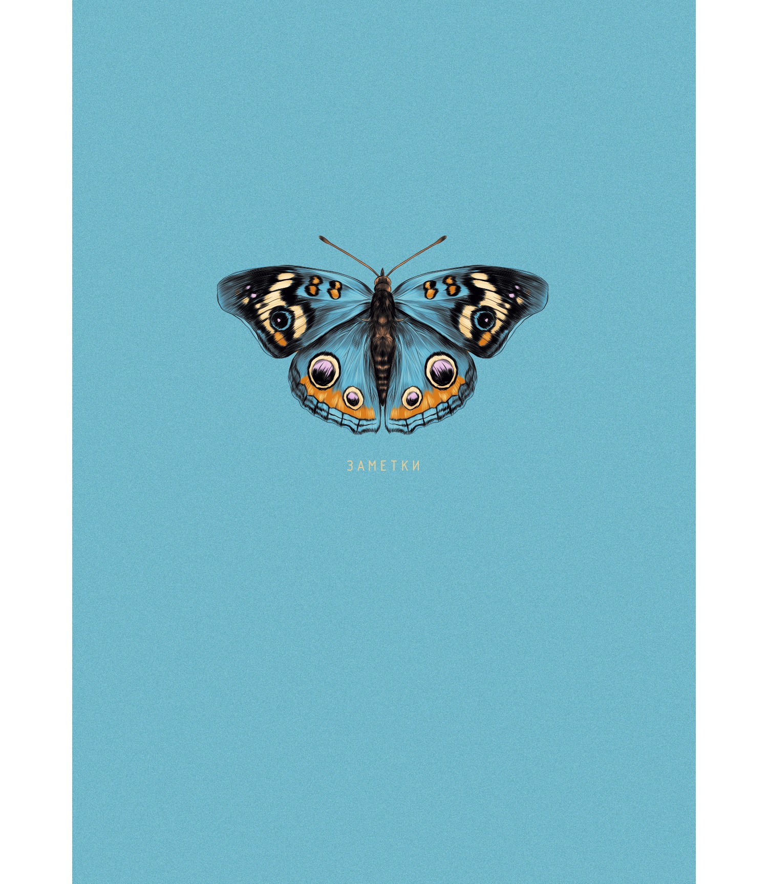 Бабочка – КЗБ6644083 Бабочка – КЗБ6644083