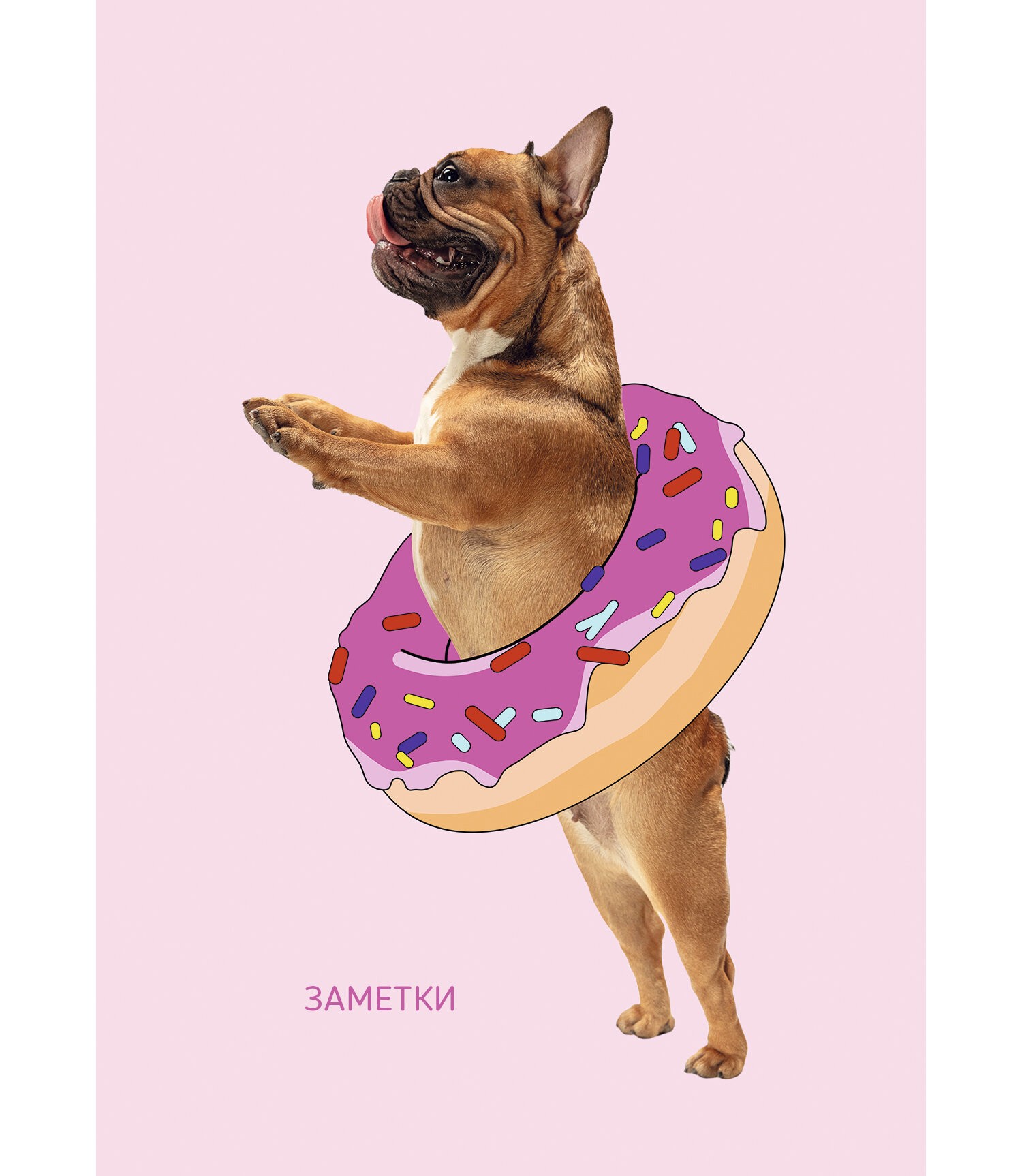 Веселая собачка – КЗБ6644090 Веселая собачка – КЗБ6644090