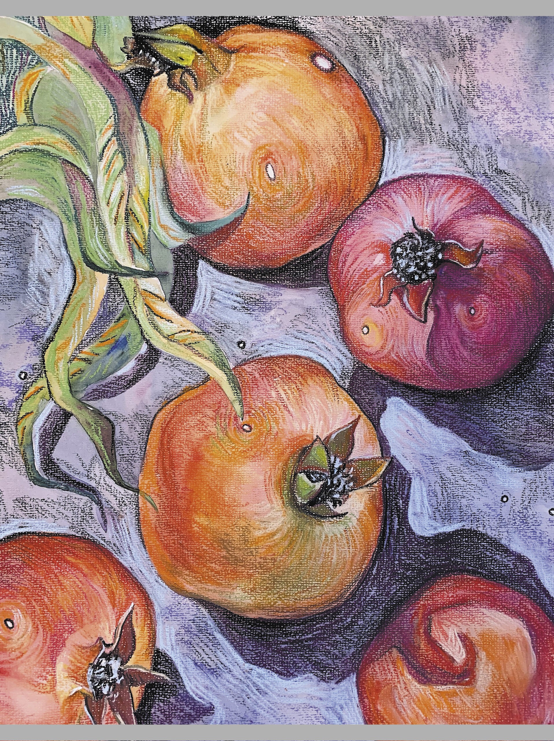 Спелые гранаты (Эксклюзив) – Т4485009 Спелые гранаты (Эксклюзив) – Т4485009