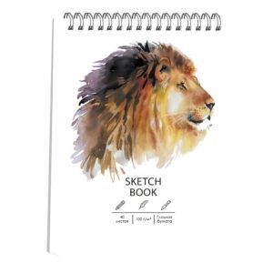 Главная страница