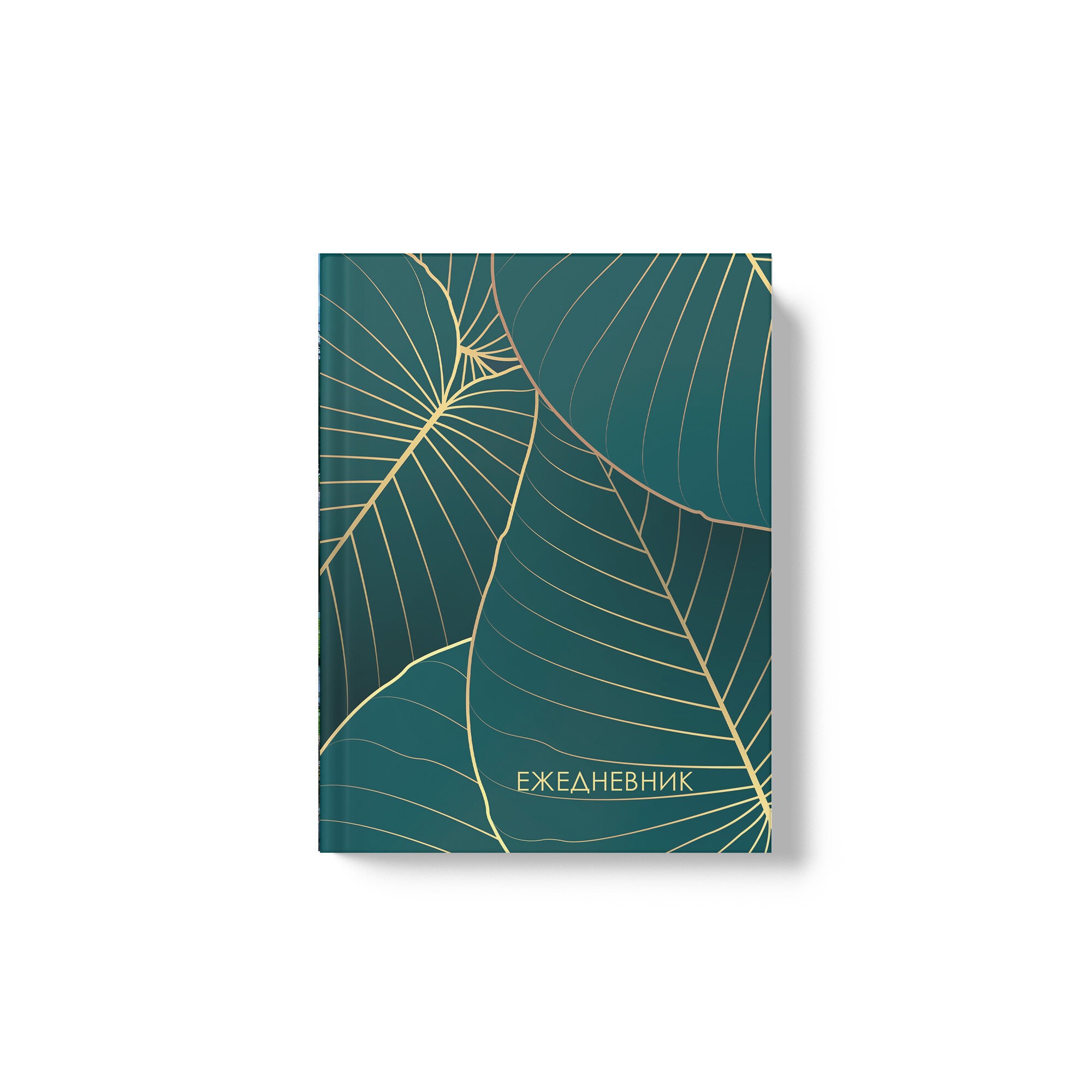 В листве – ЕЖИ24612803 В листве – ЕЖИ24612803