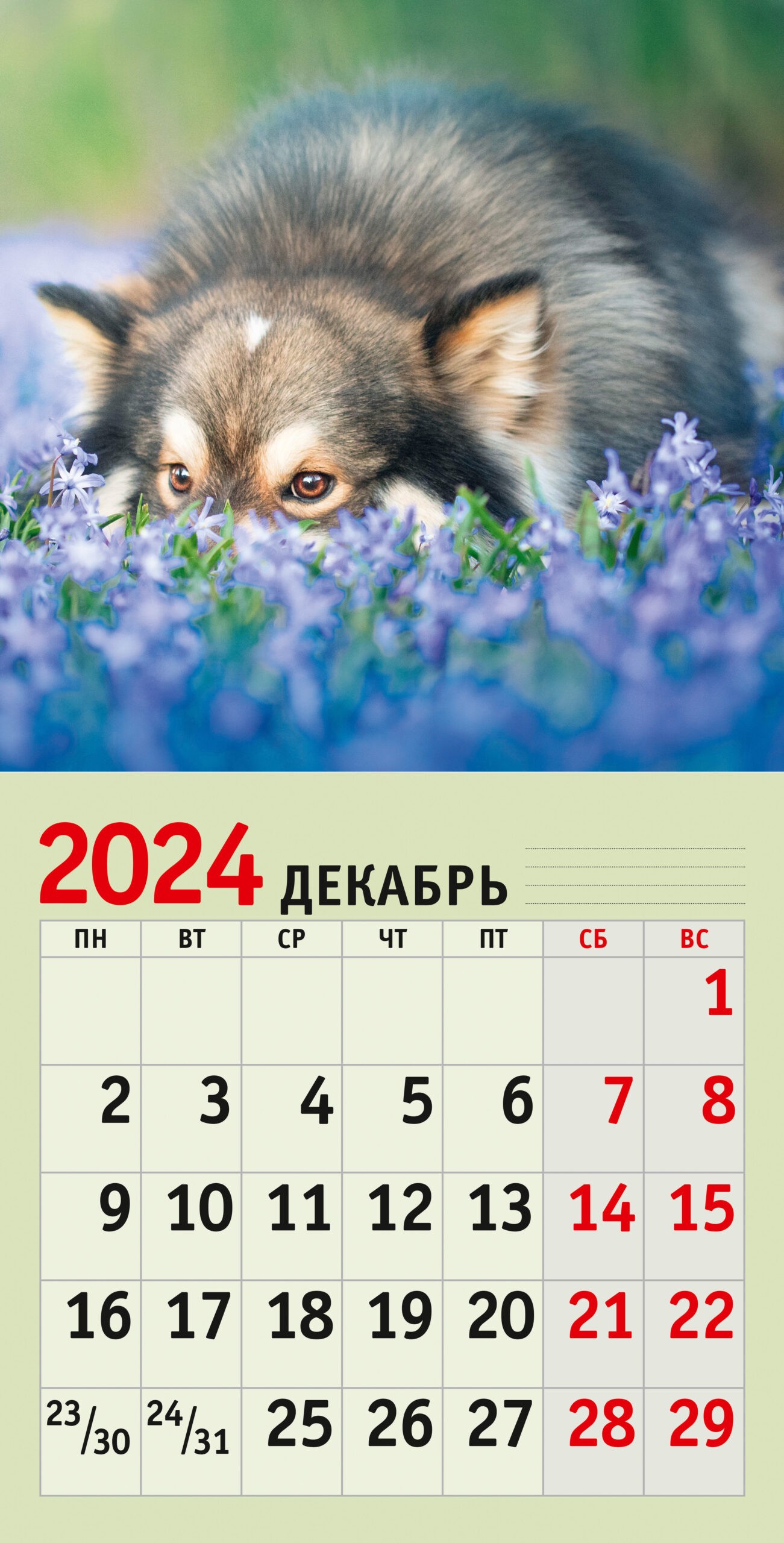 Домашние любимцы. 14 – КС122468 Домашние любимцы. 14 – КС122468