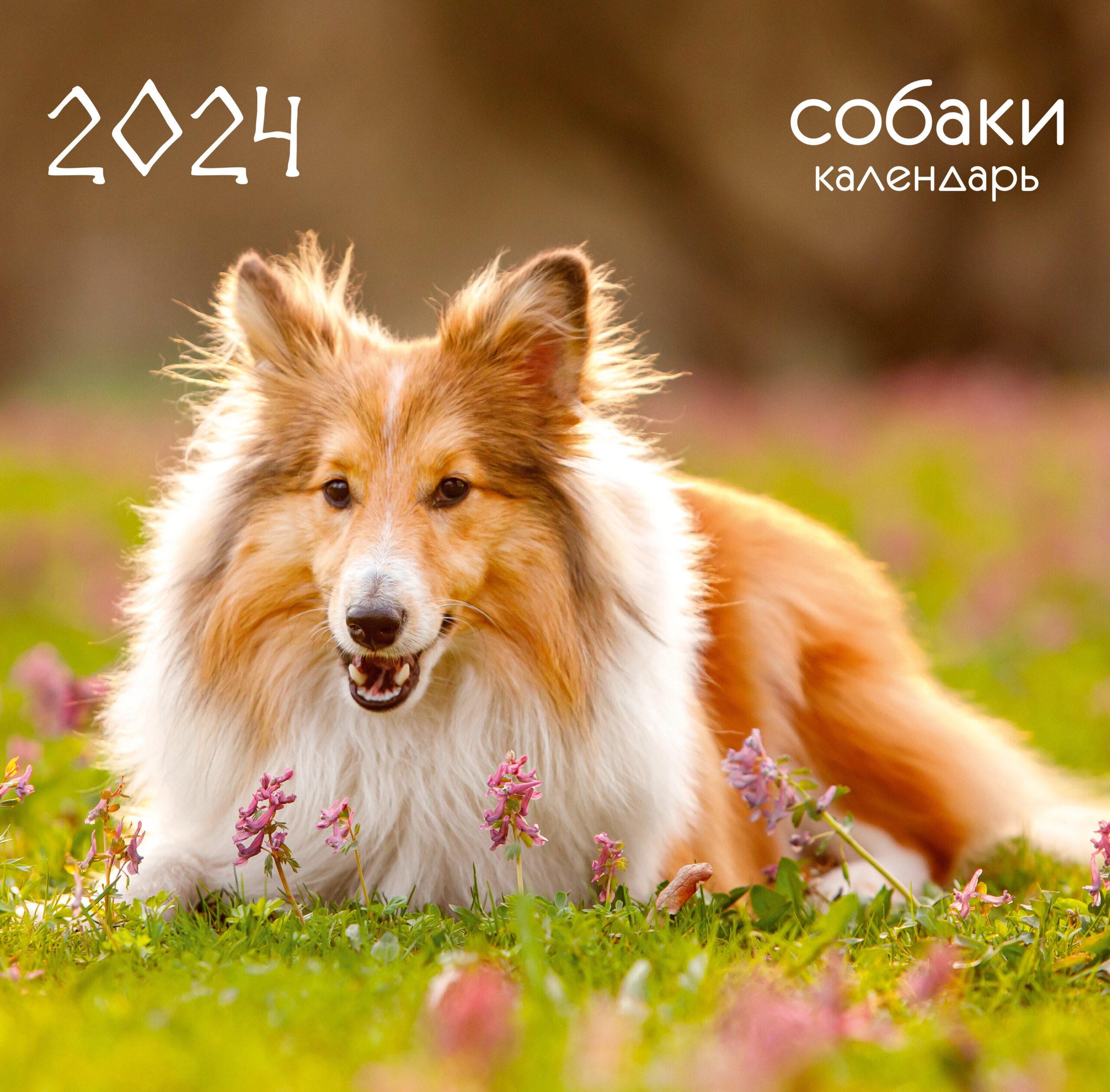 Домашние любимцы. 14 – КС122468 Домашние любимцы. 14 – КС122468