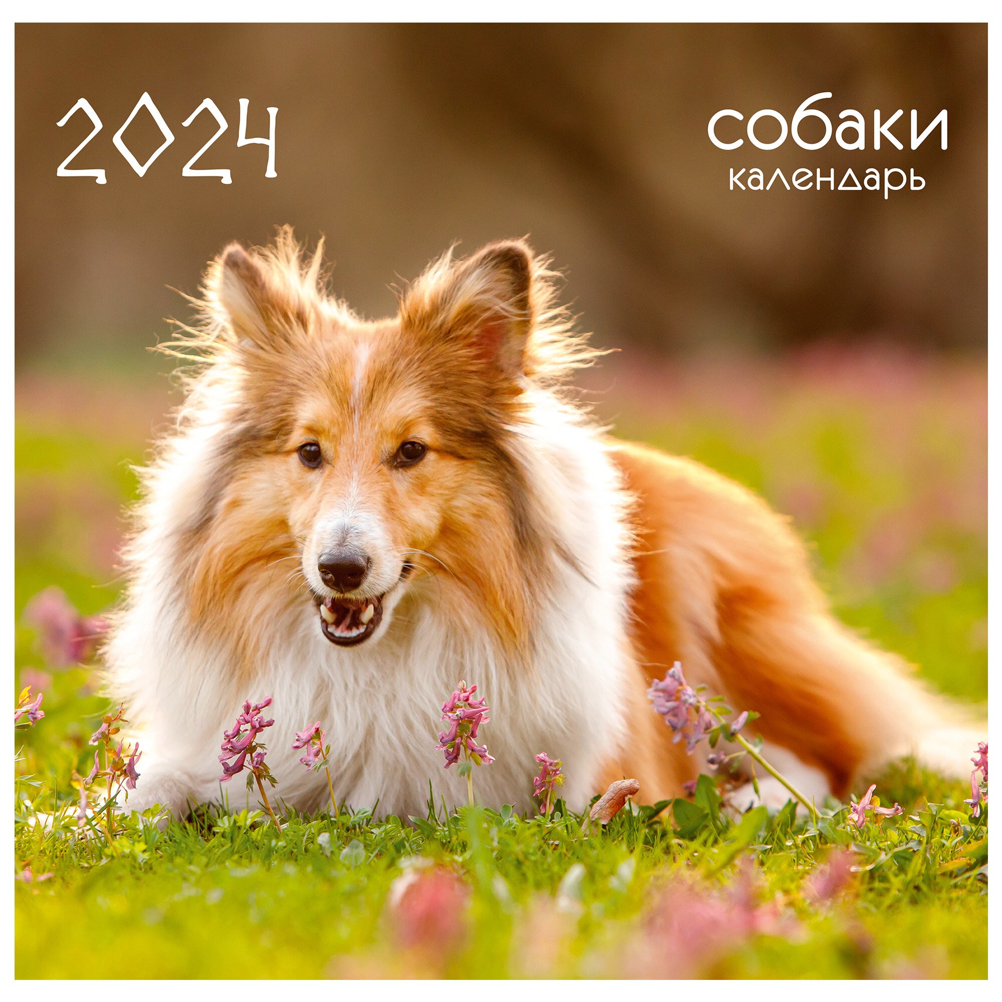 Домашние любимцы. 14 – КС122468 Домашние любимцы. 14 – КС122468