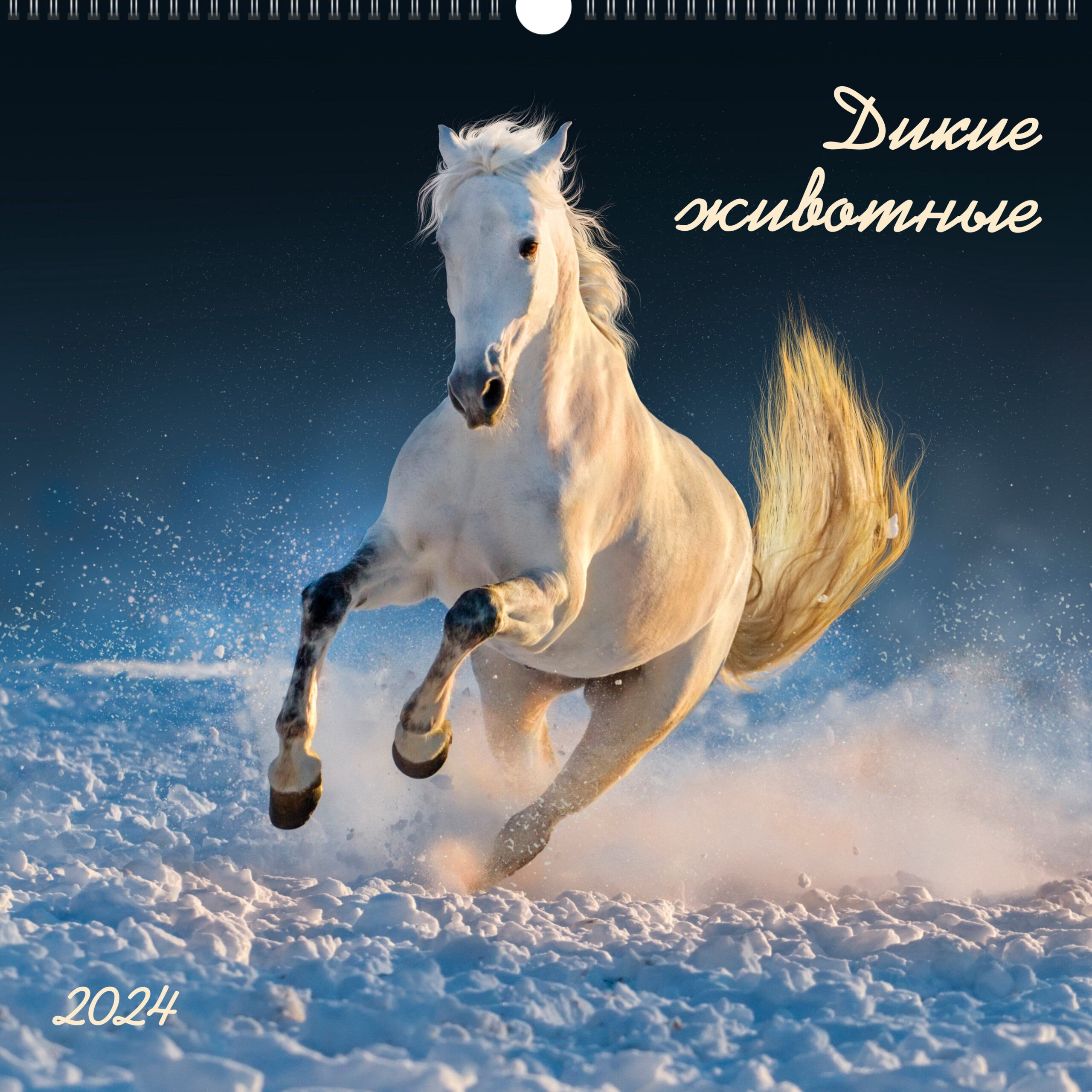 В мире дикой природы. 2 – КПКС2408 В мире дикой природы. 2 – КПКС2408