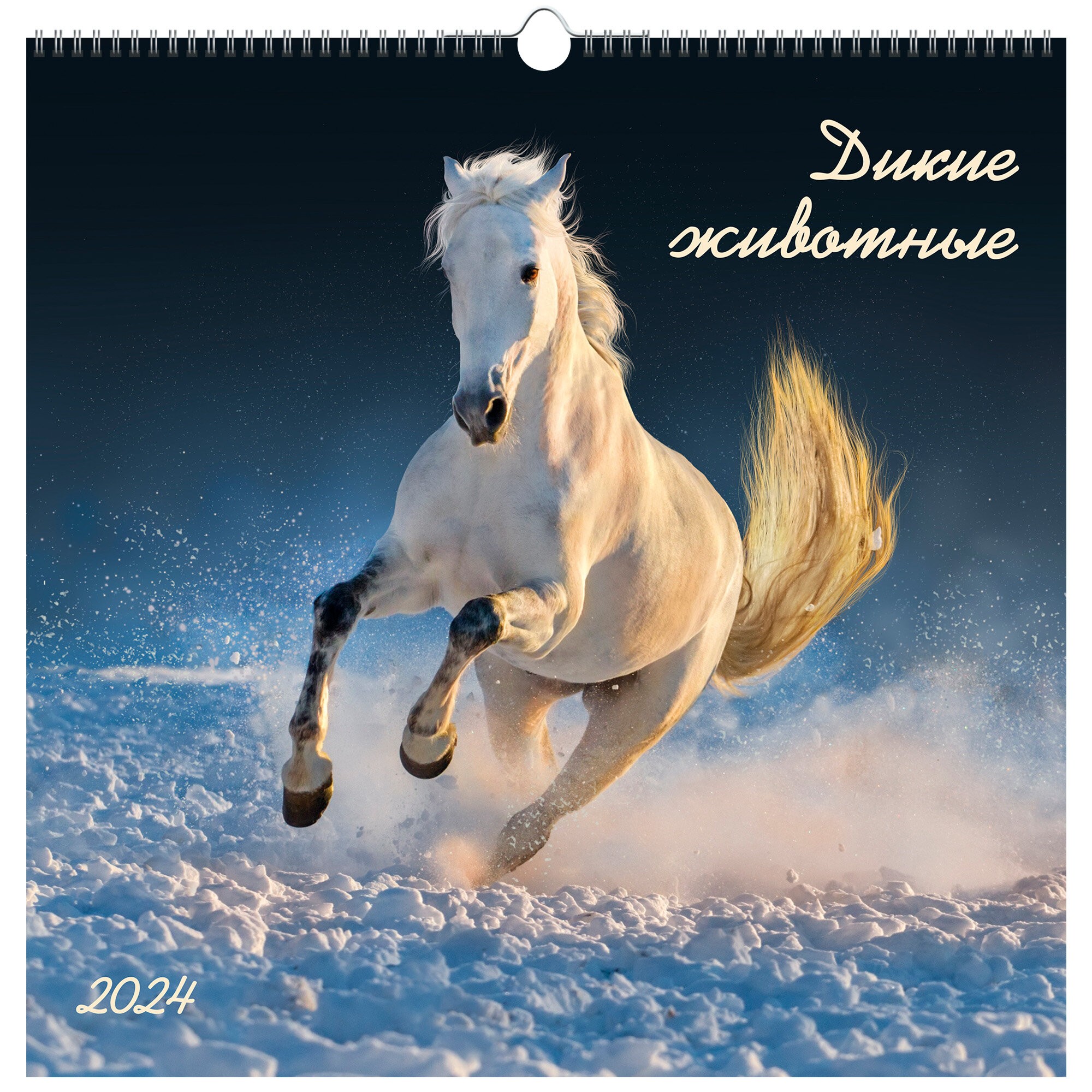 В мире дикой природы. 2 – КПКС2408 В мире дикой природы. 2 – КПКС2408