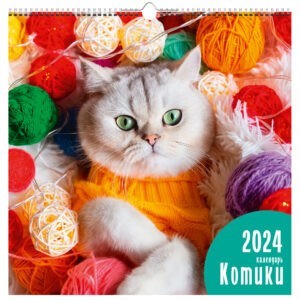 Главная страница