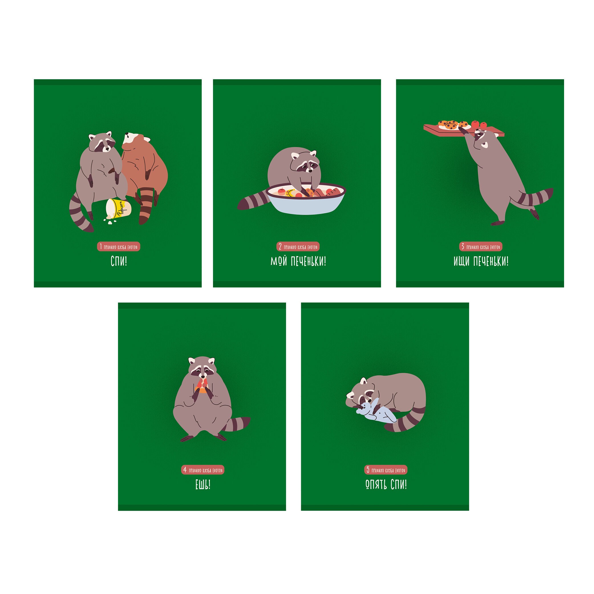 День енота – ТК488601 День енота – ТК488601